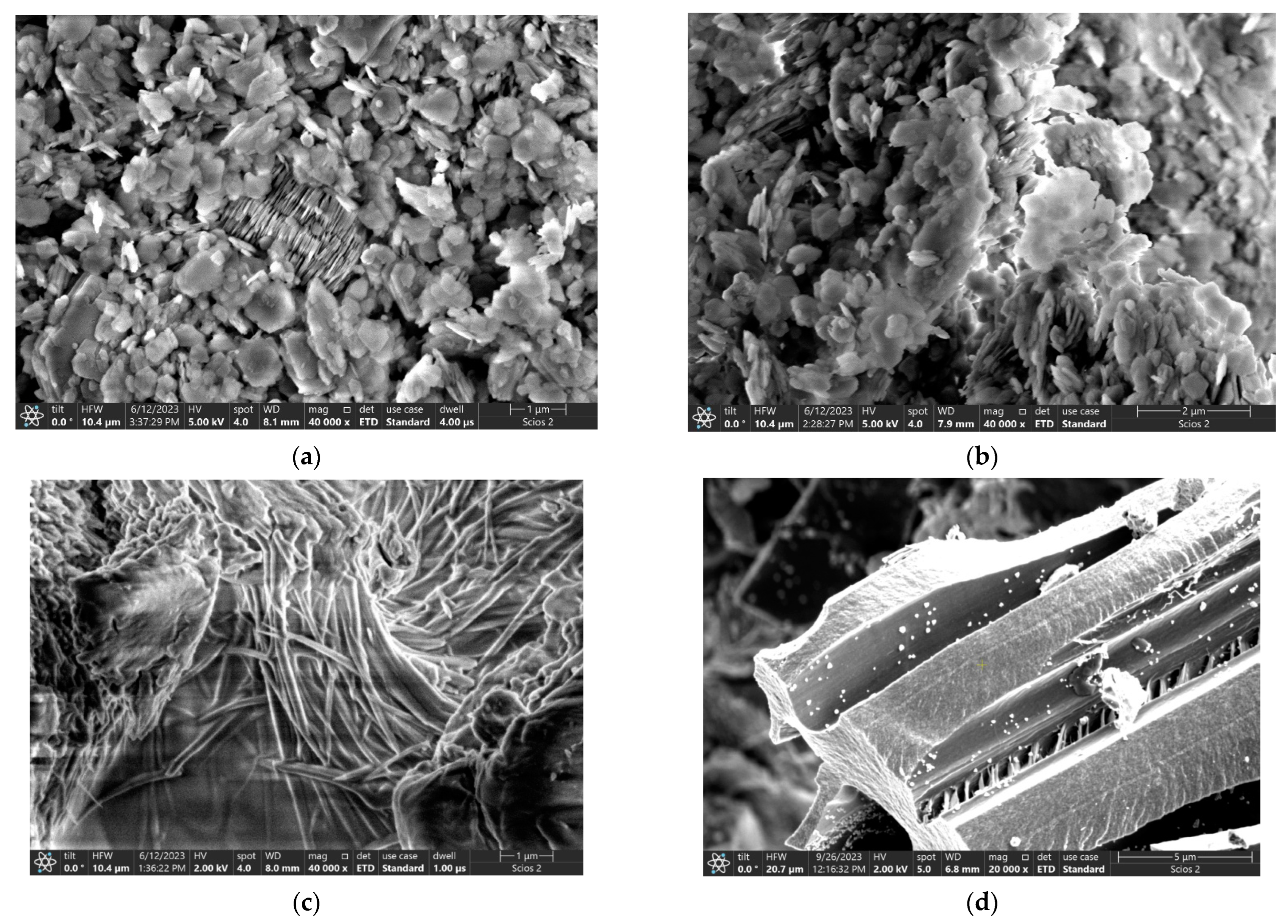 Processes 12 01032 g001