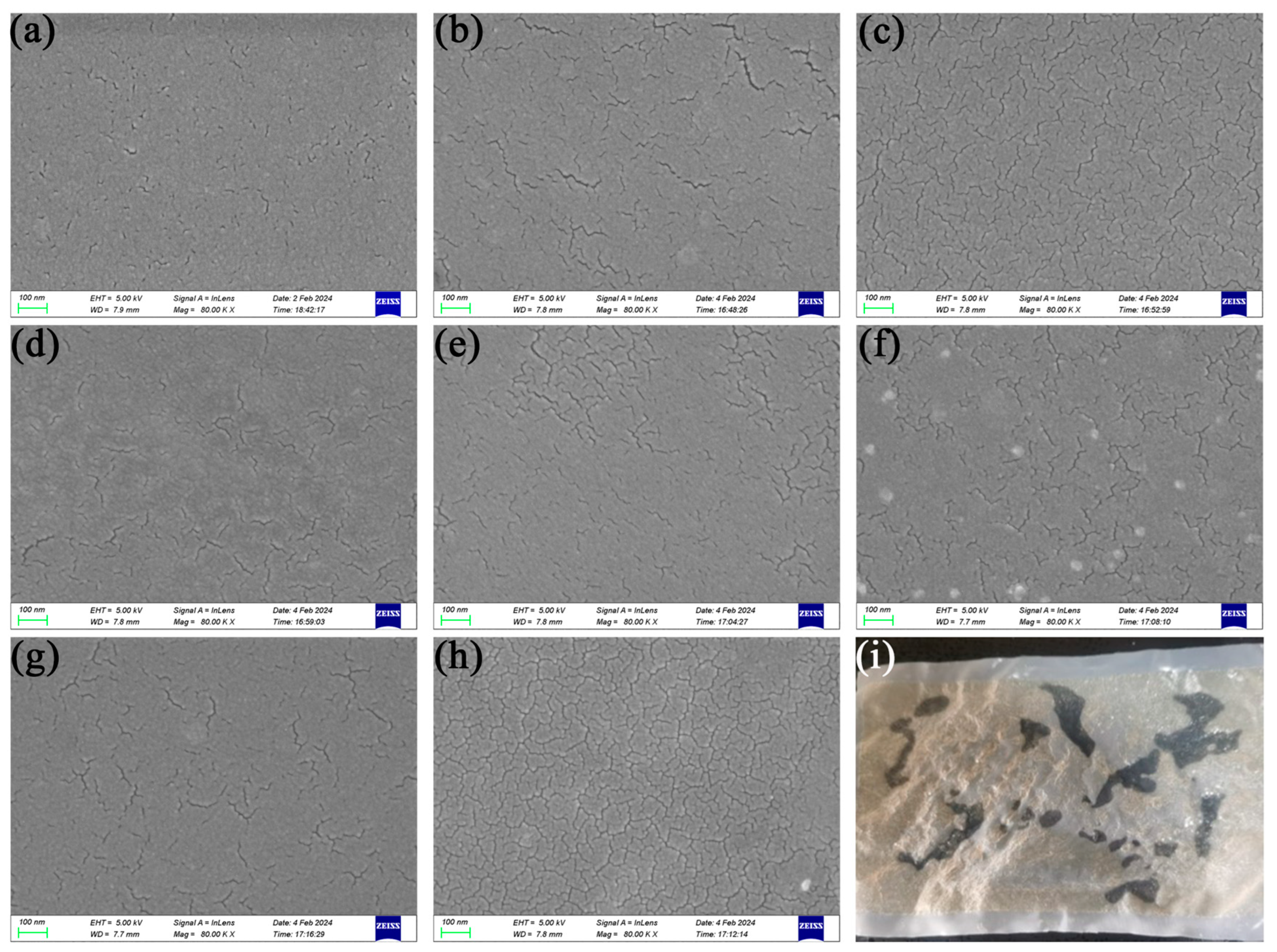 Processes 12 01043 g005