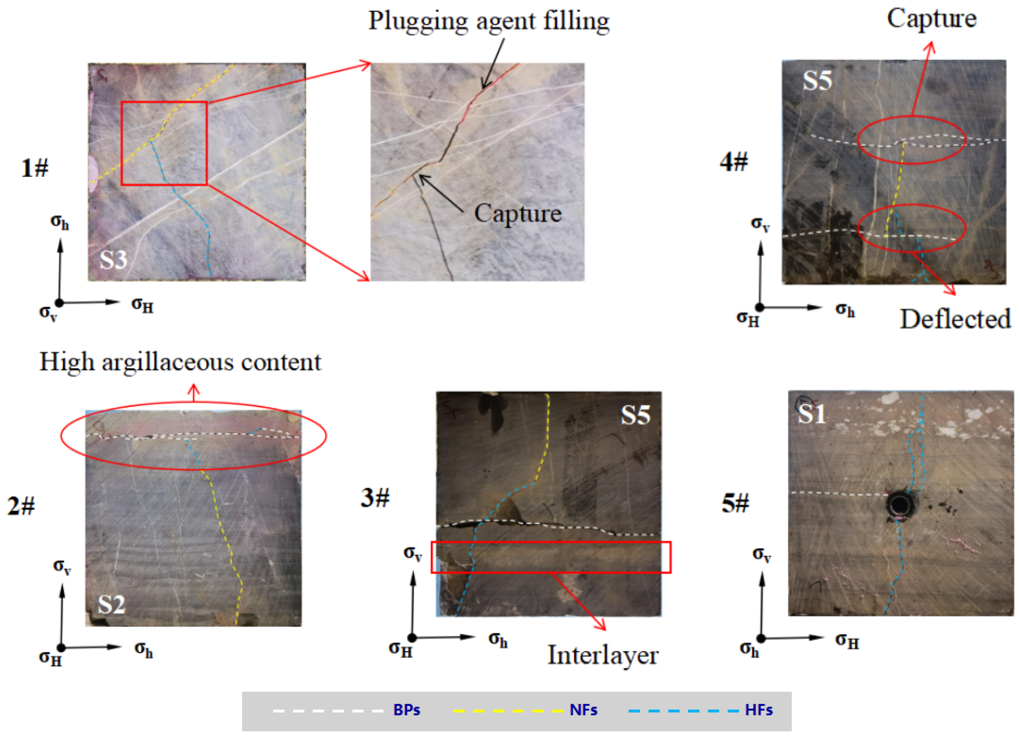 Processes 12 01049 g010