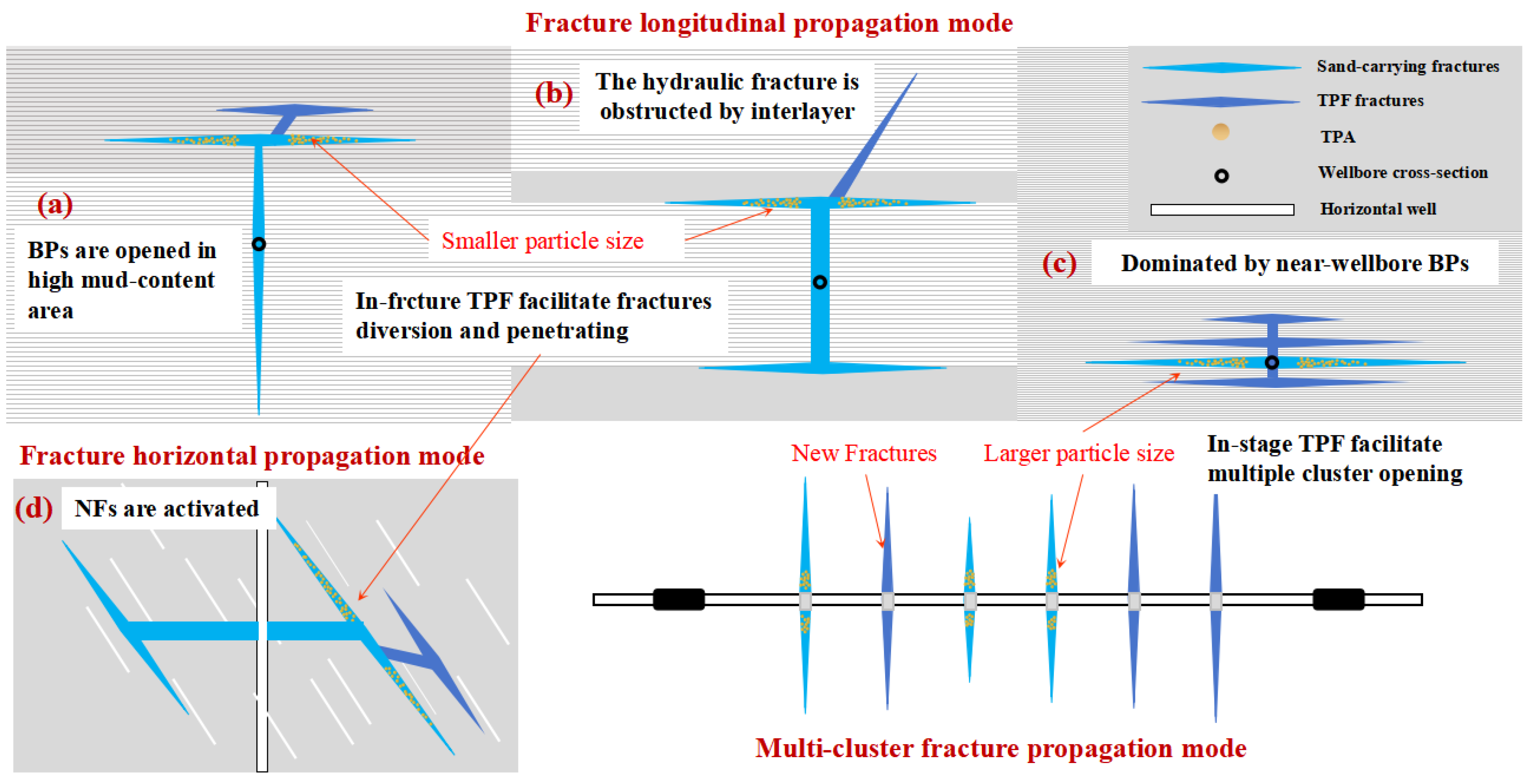Processes 12 01049 g011