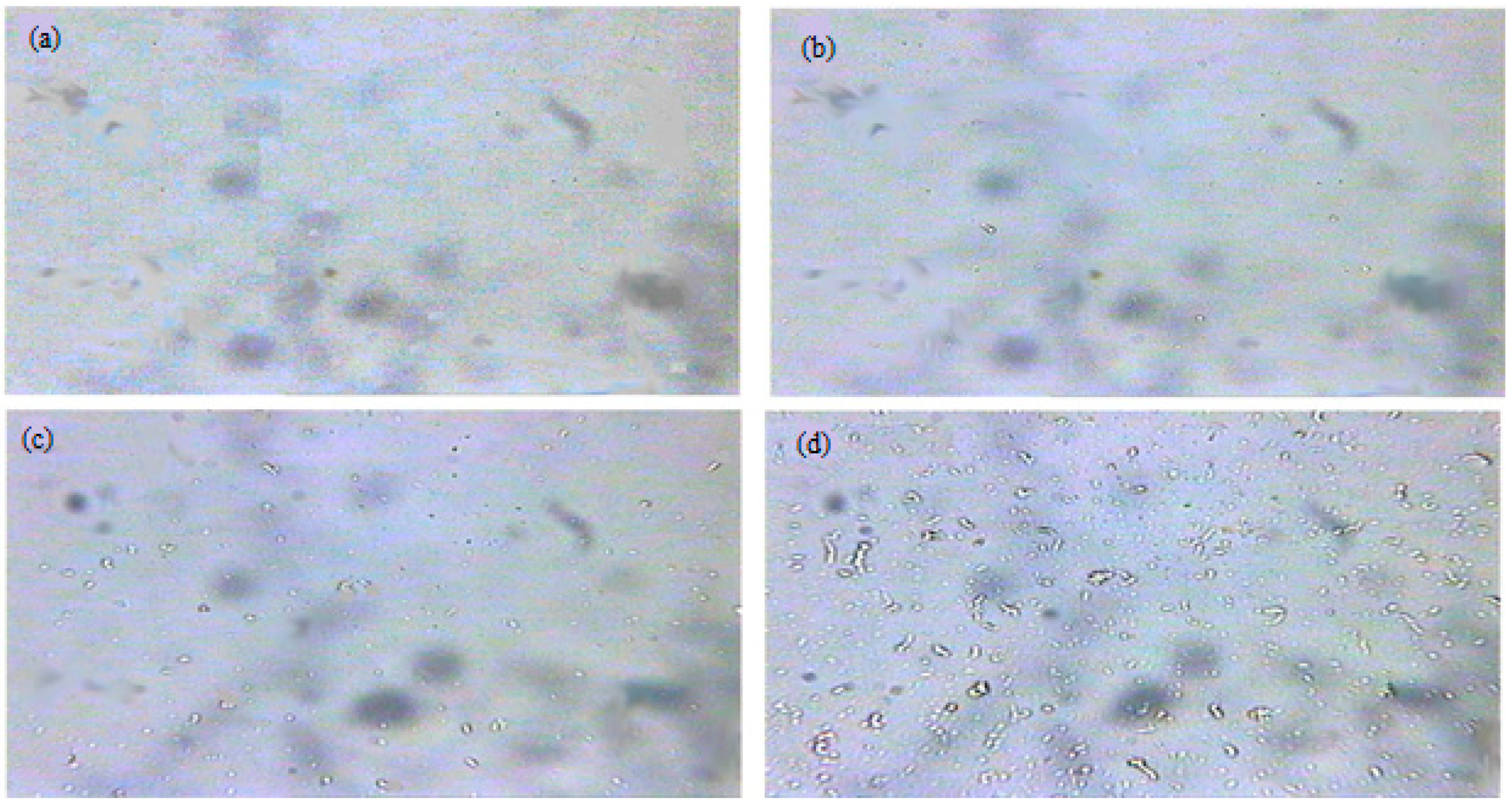 Processes 12 01052 g003