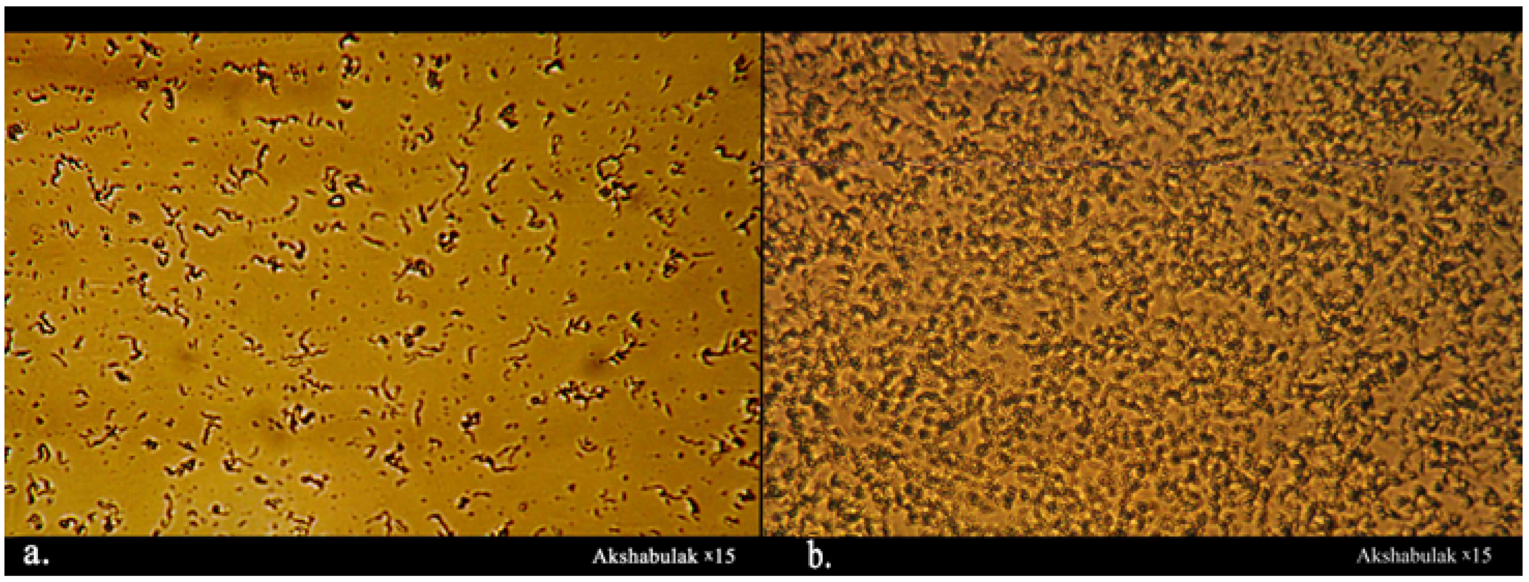 Processes 12 01052 g007