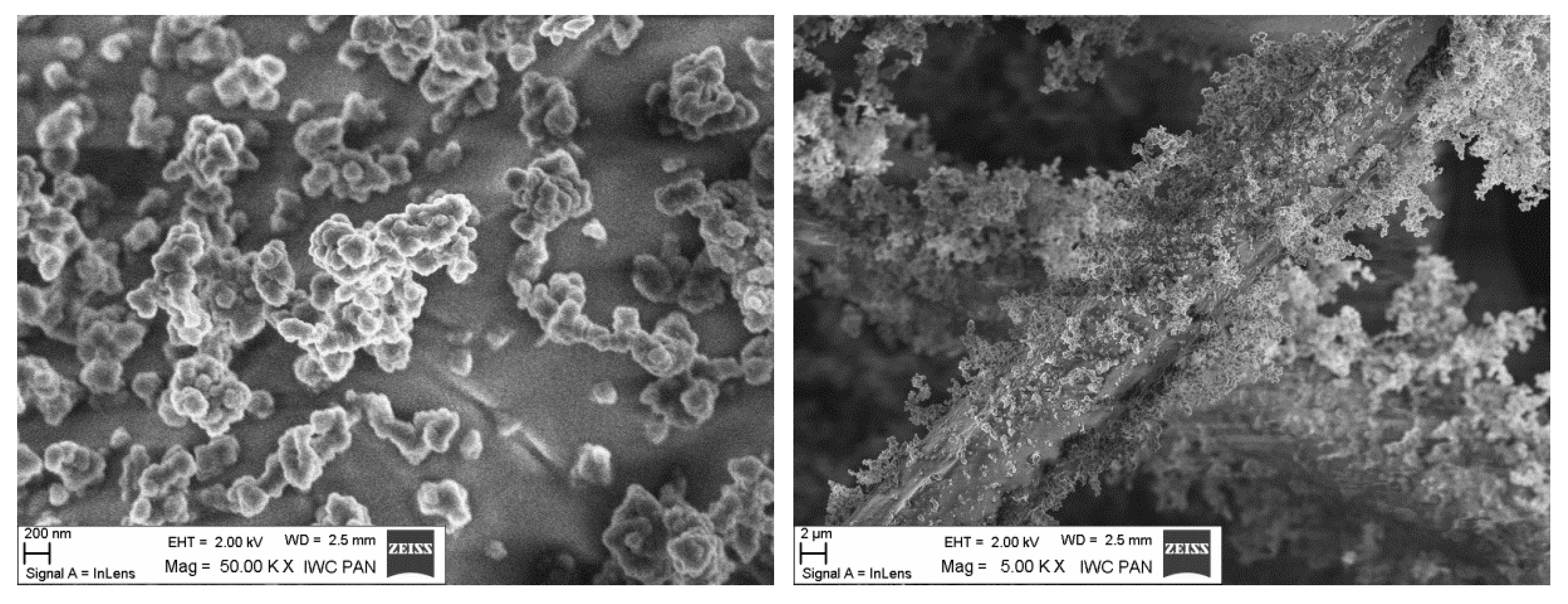 Processes 12 01060 g001