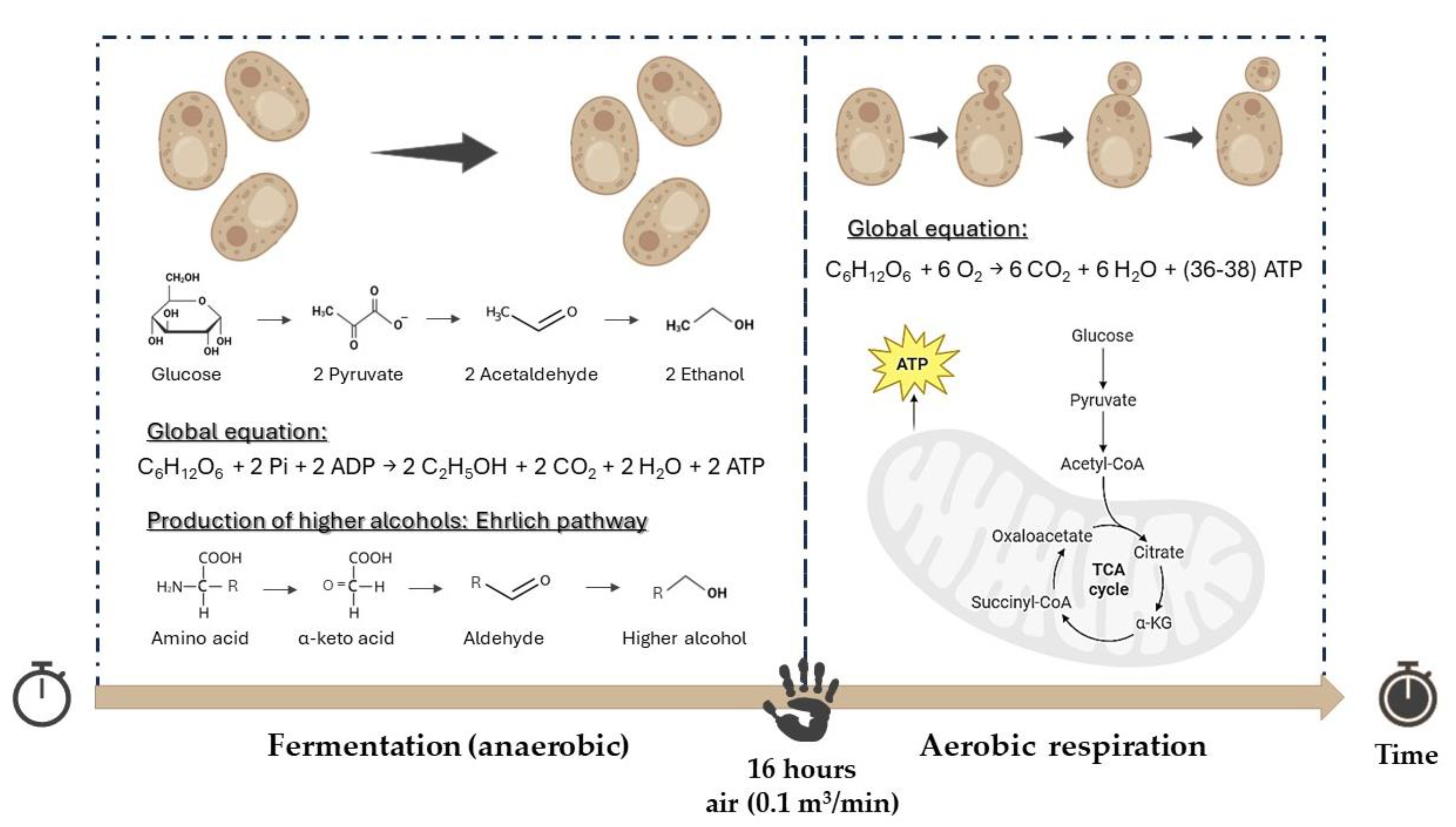 Processes 12 01064 g006