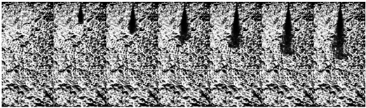 Processes 12 01076 i001