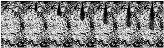 Processes 12 01076 i002