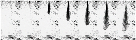 Processes 12 01076 i005