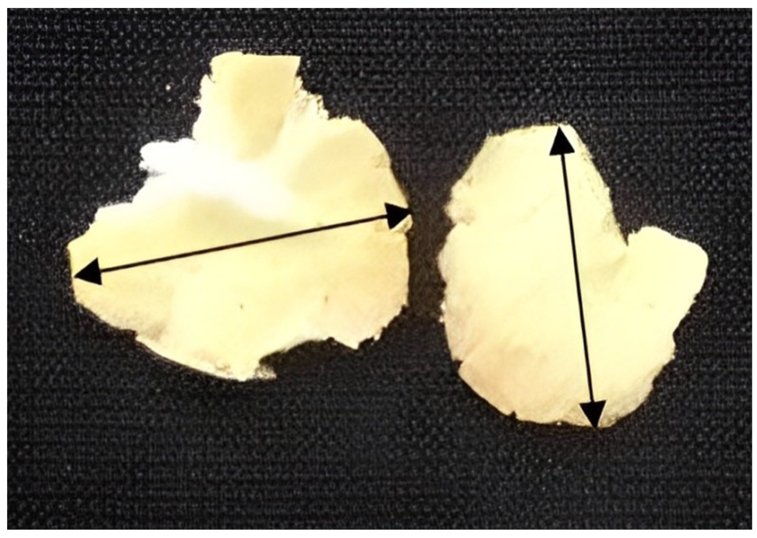 Processes 12 01107 g001