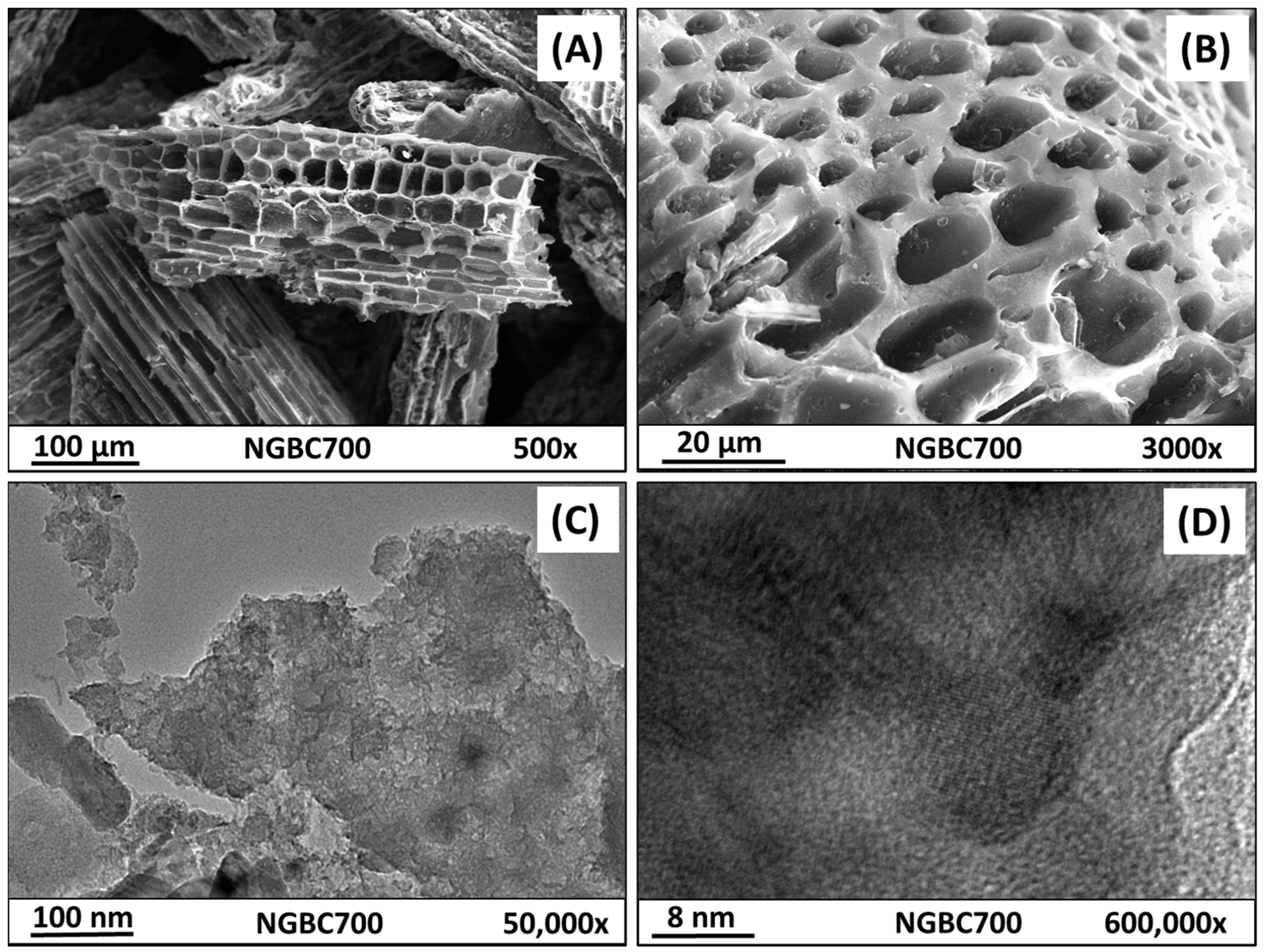 Processes 12 01115 g002