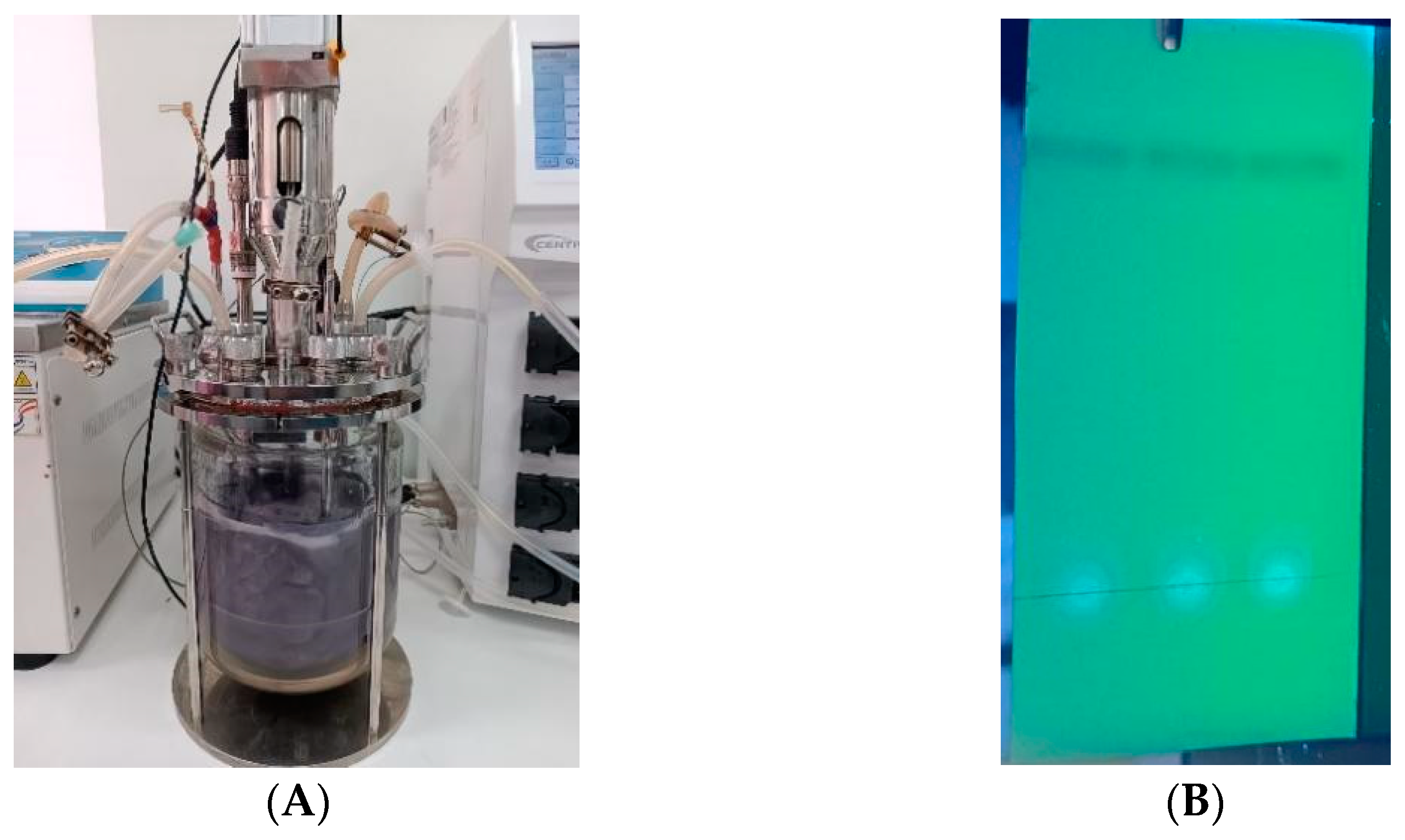 Processes 12 01116 g006