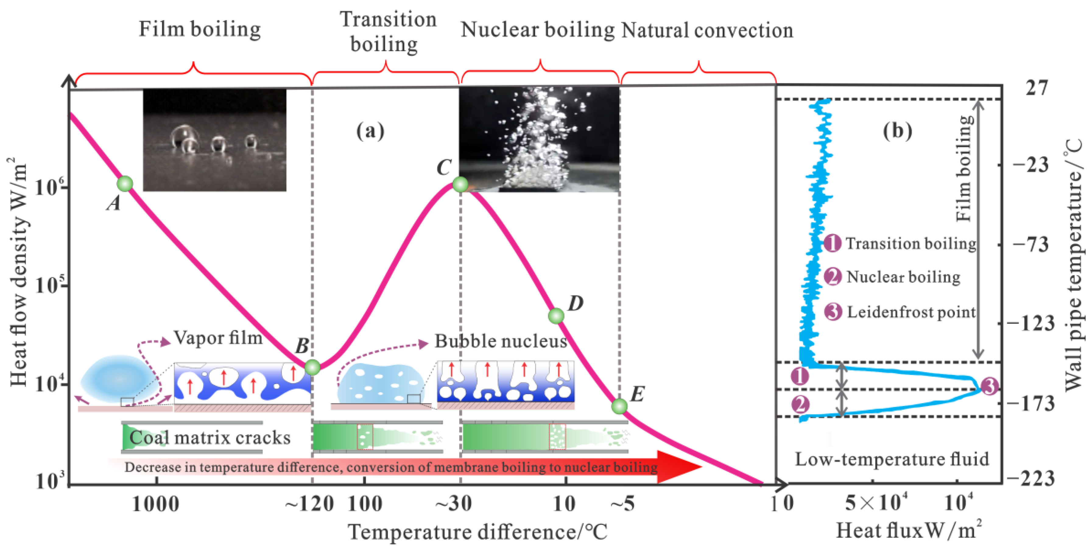 Processes 12 01117 g002
