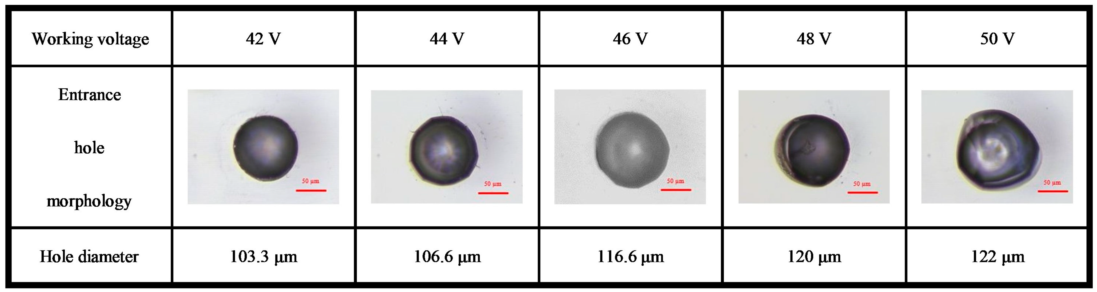 Processes 12 01149 g021