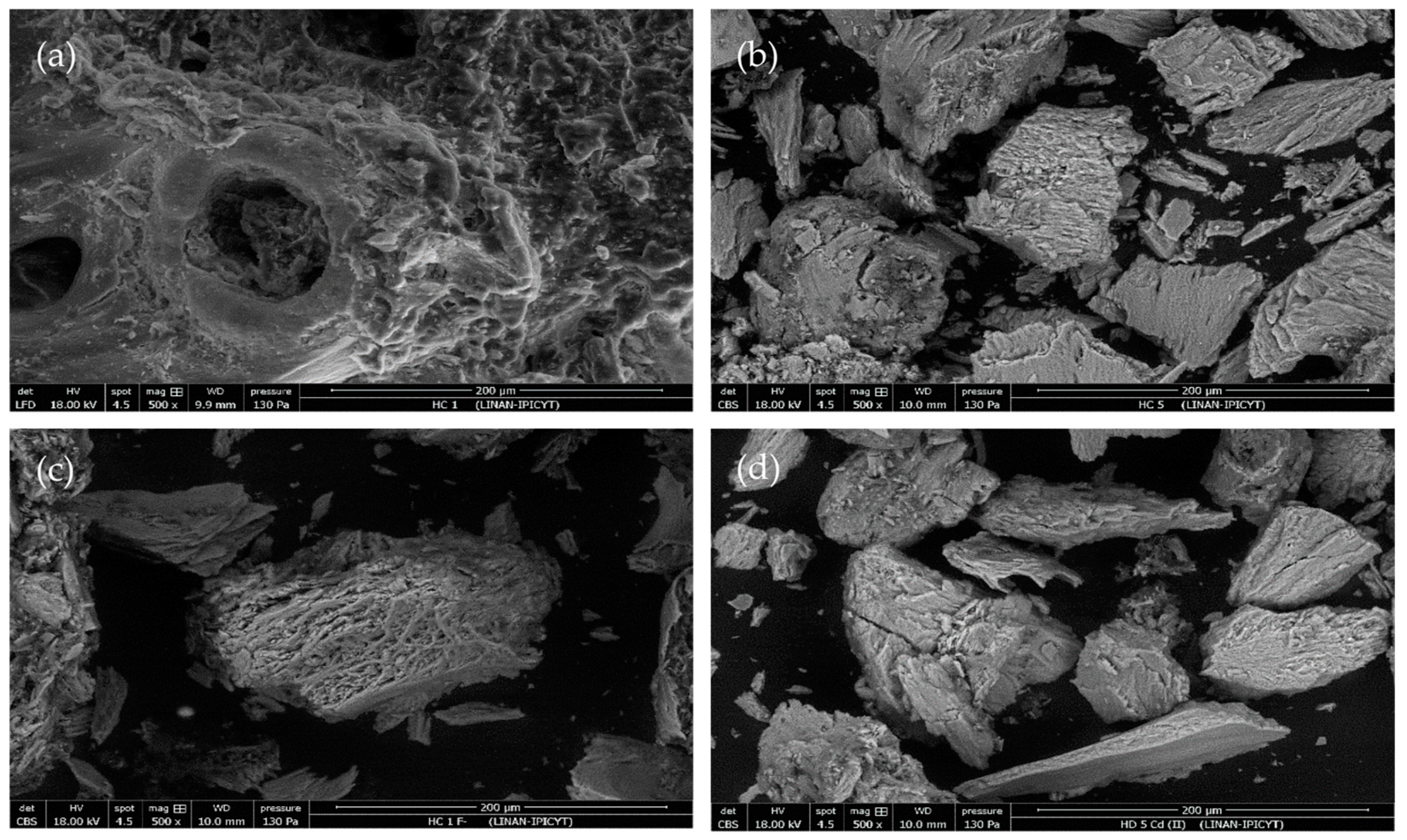 Processes 12 01158 g004