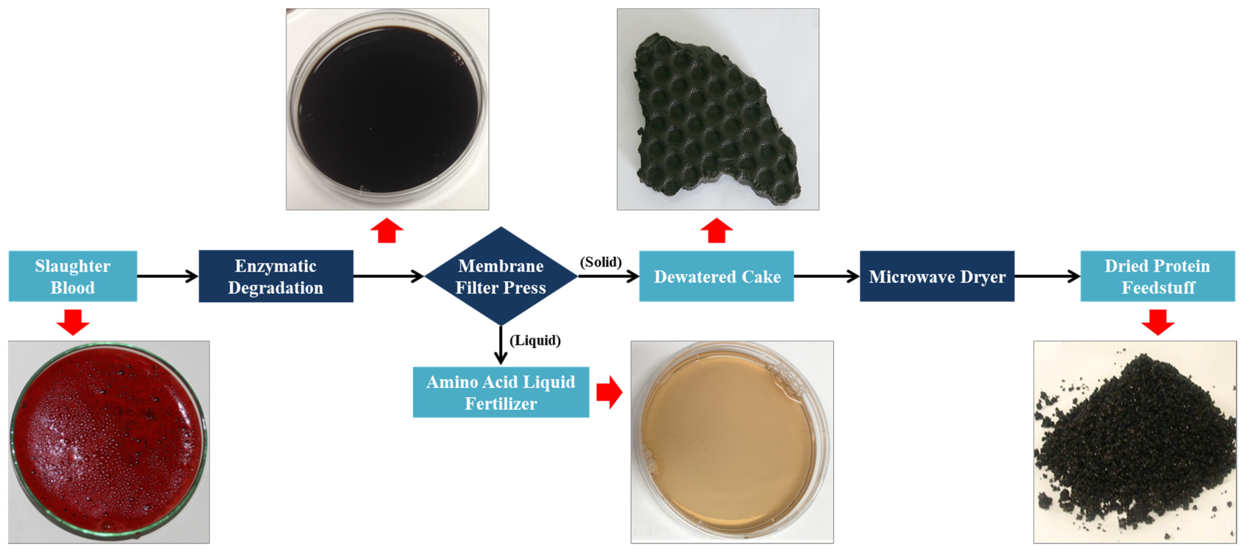 Processes 12 01183 g009 Processes 12 01183 g009