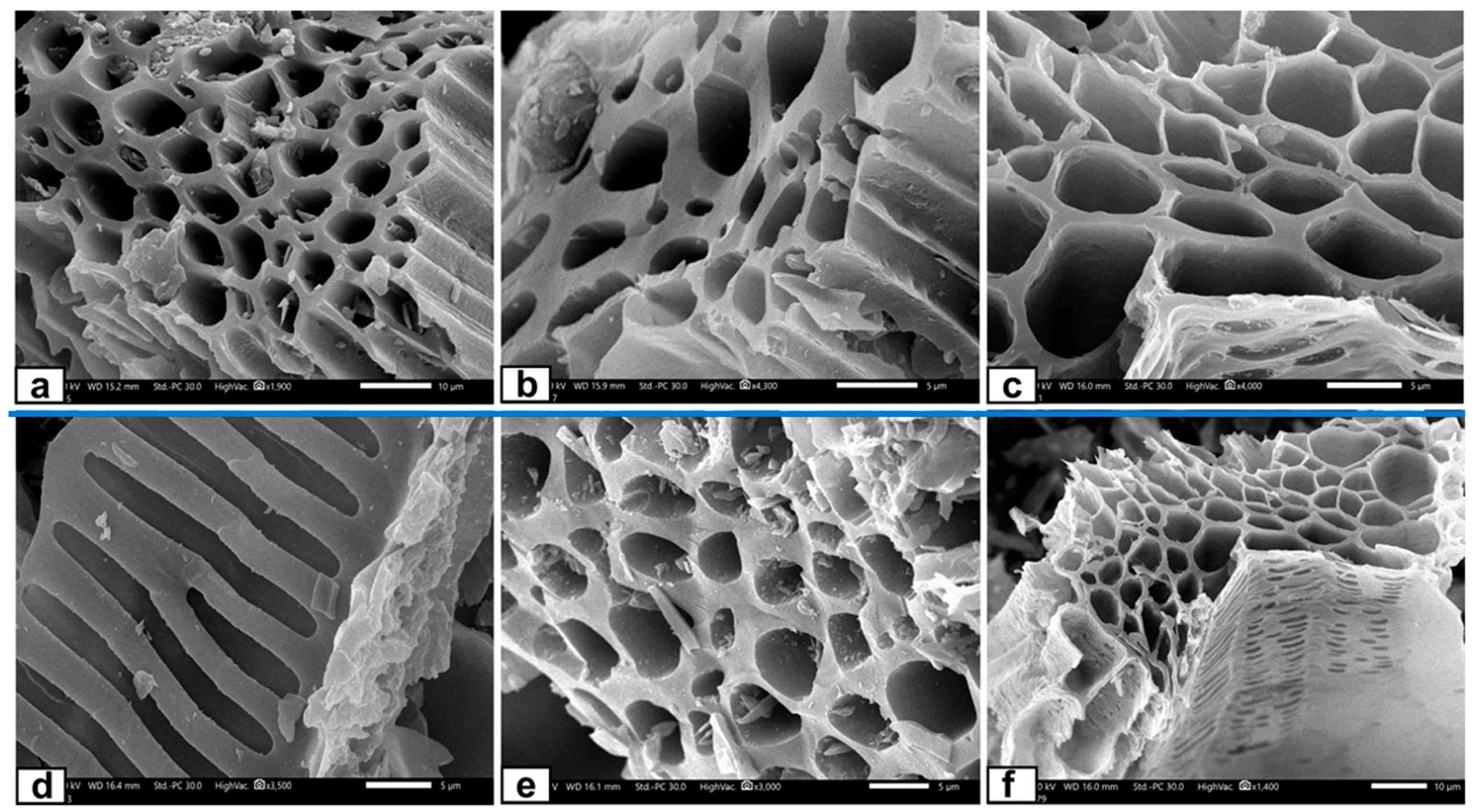 Processes 12 01189 g001
