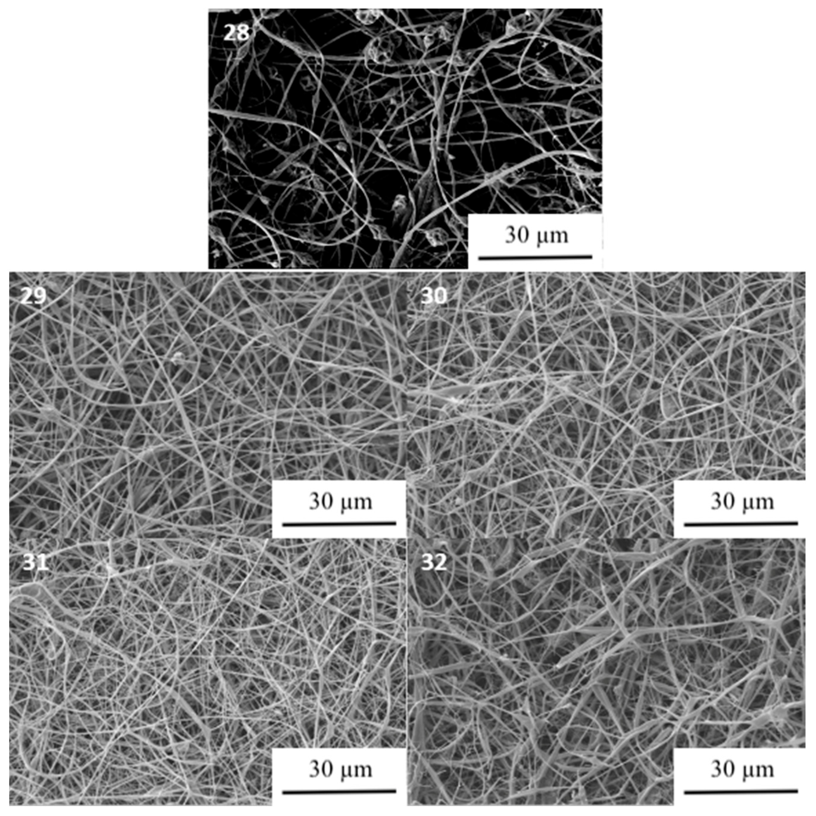 Processes 12 01204 g007