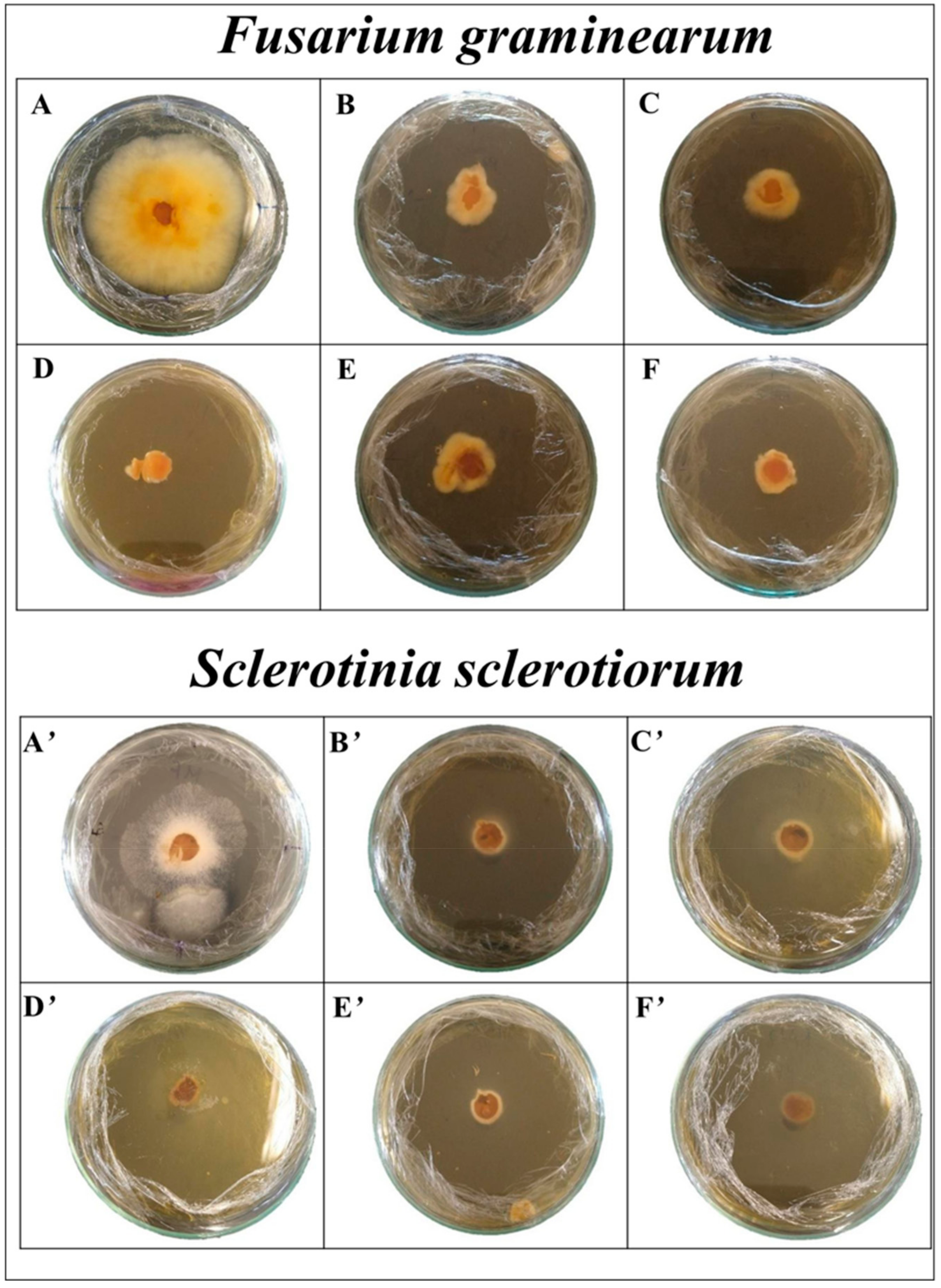 Processes 12 01208 g001