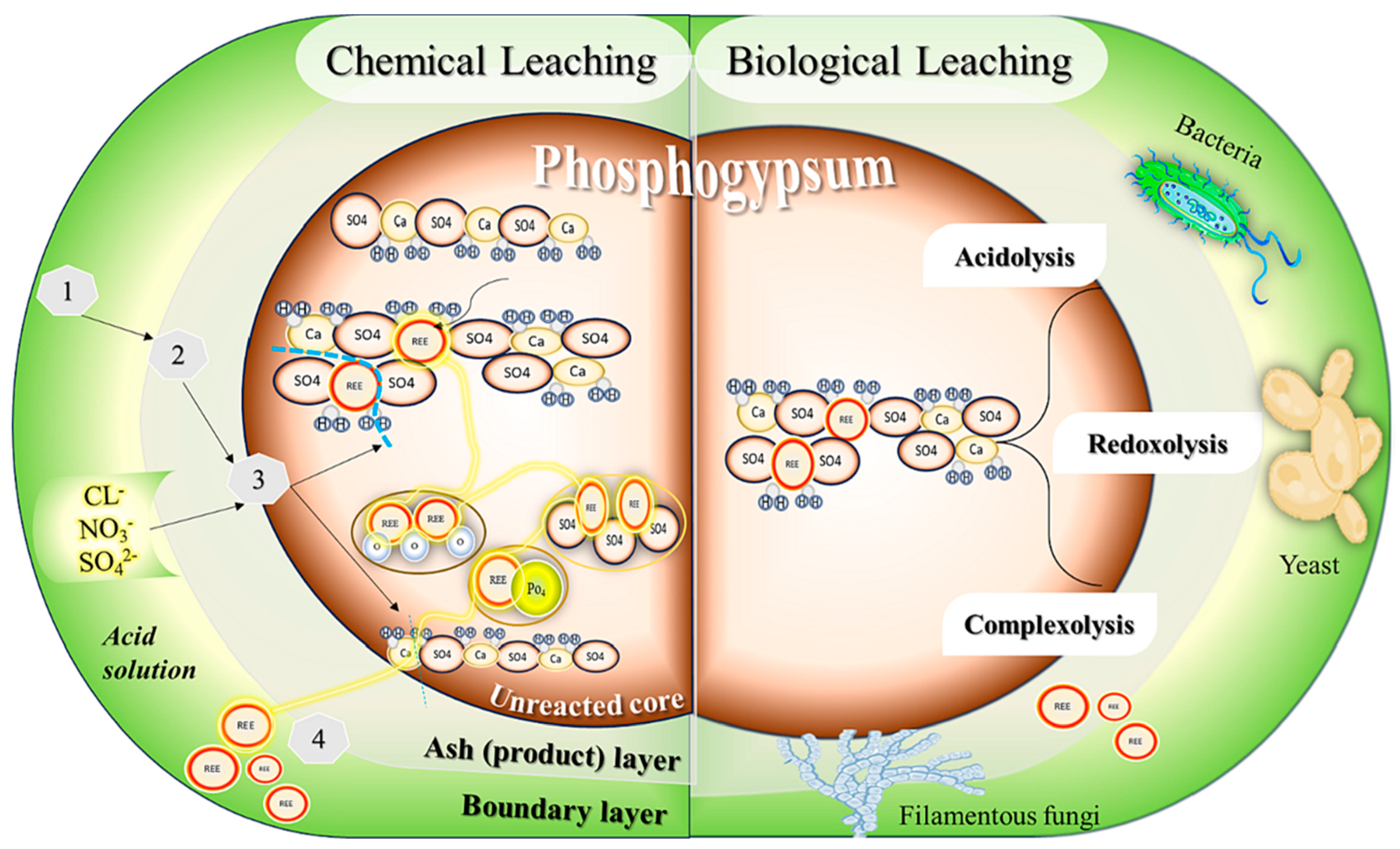 Processes 12 01235 g009