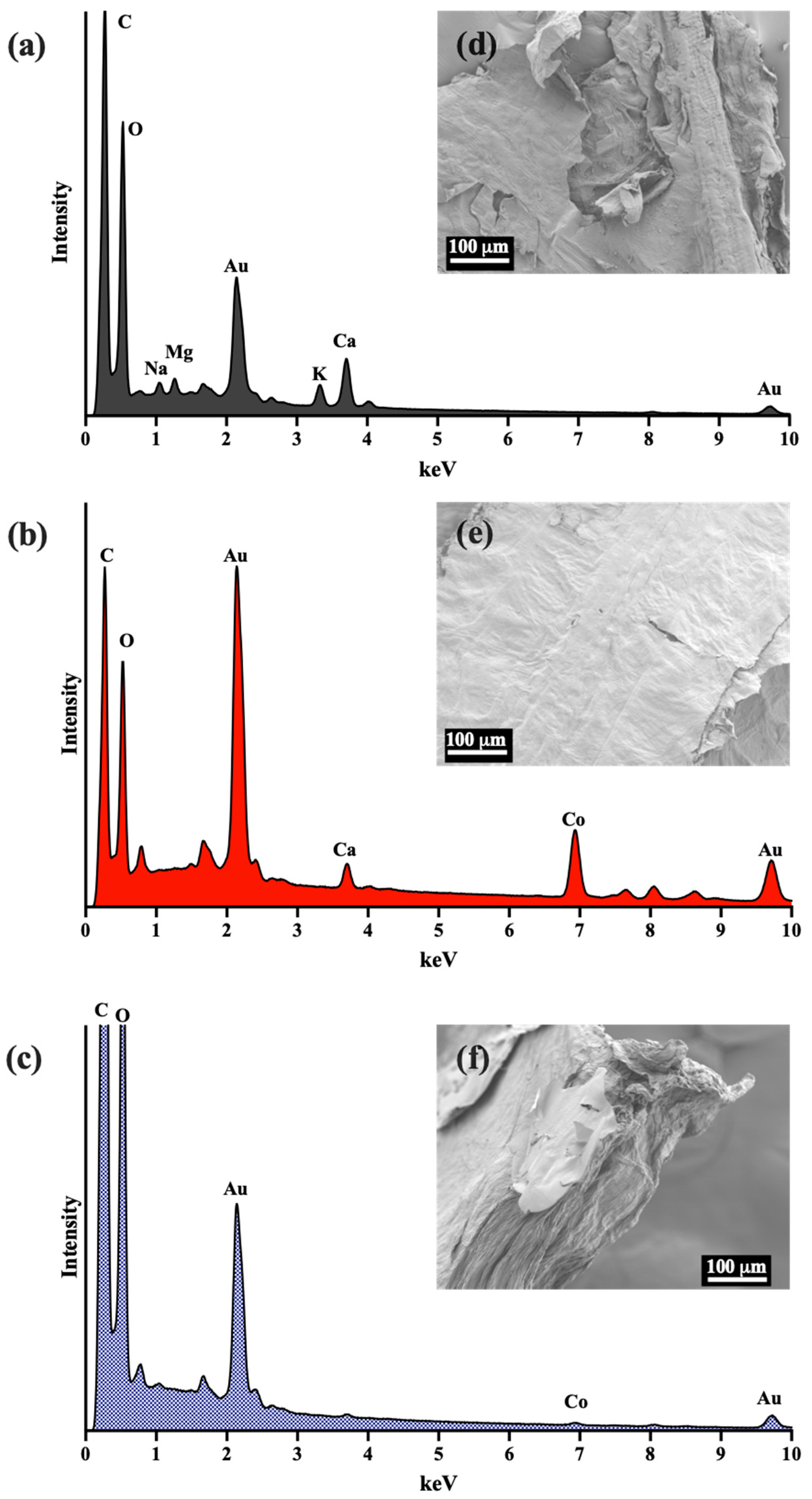 Processes 12 01263 g010 Processes 12 01263 g010