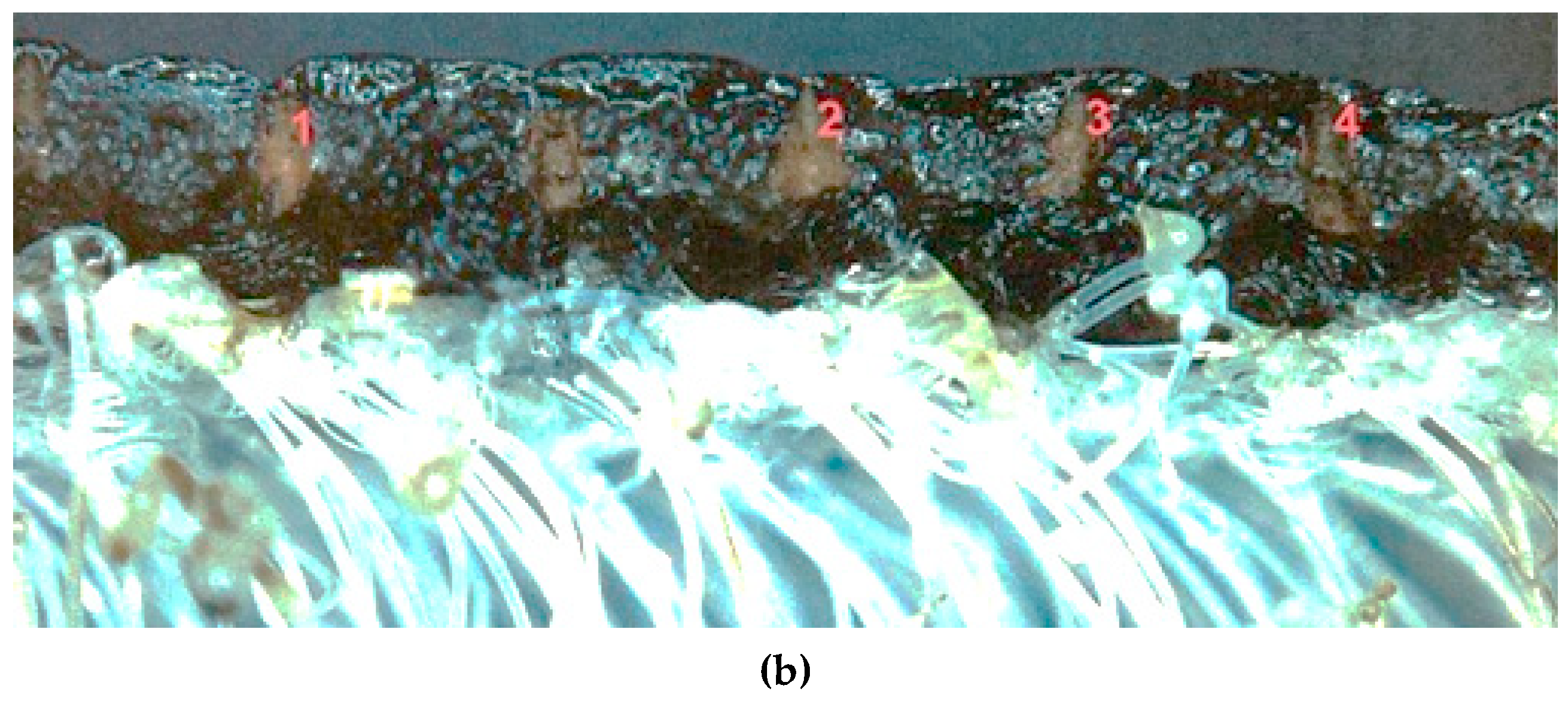 Processes 12 01275 g002b