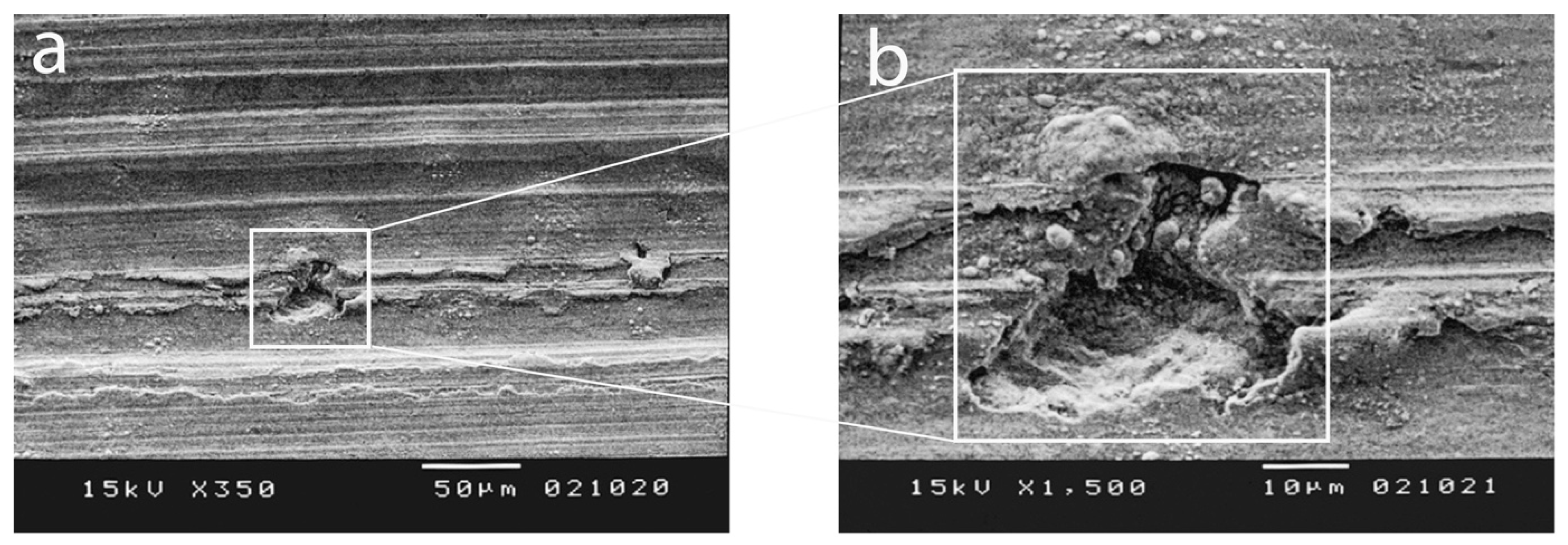 Processes 12 01283 g004 Processes 12 01283 g004