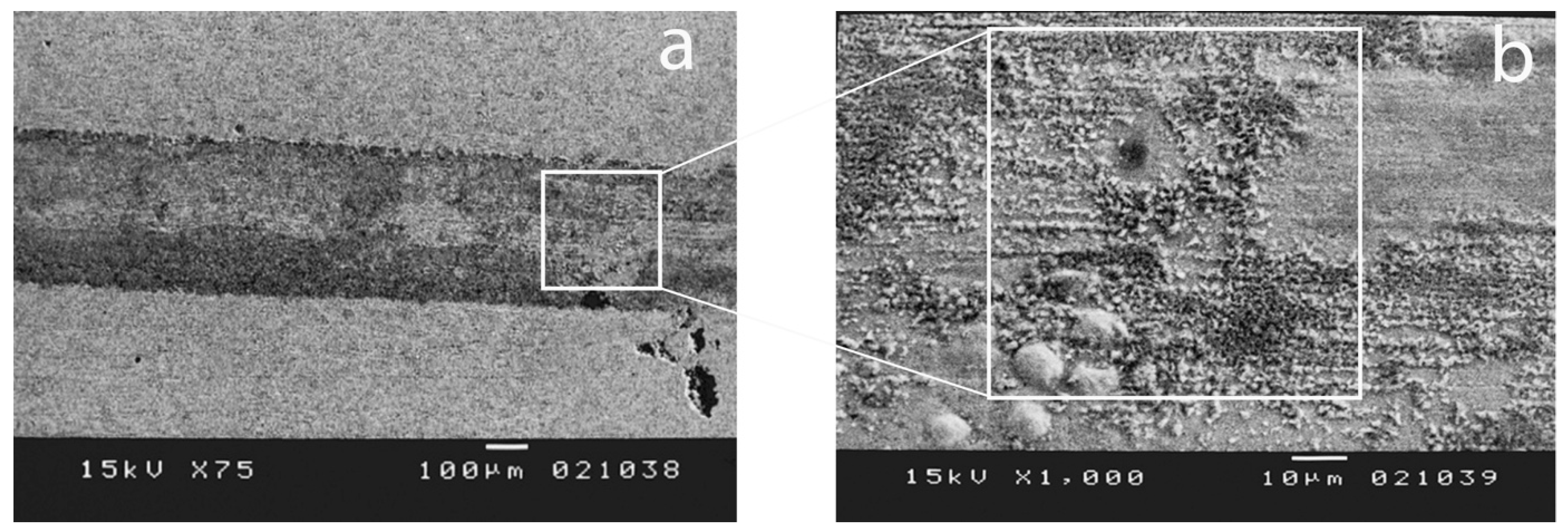 Processes 12 01283 g005 Processes 12 01283 g005