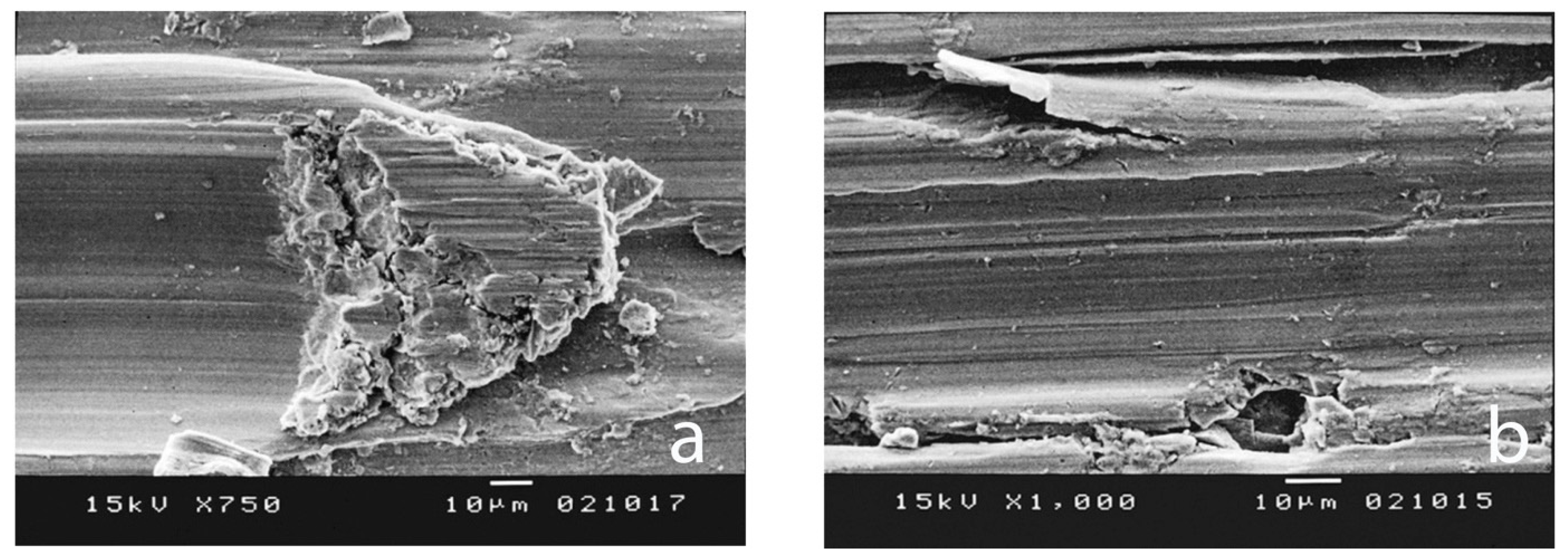 Processes 12 01283 g006 Processes 12 01283 g006