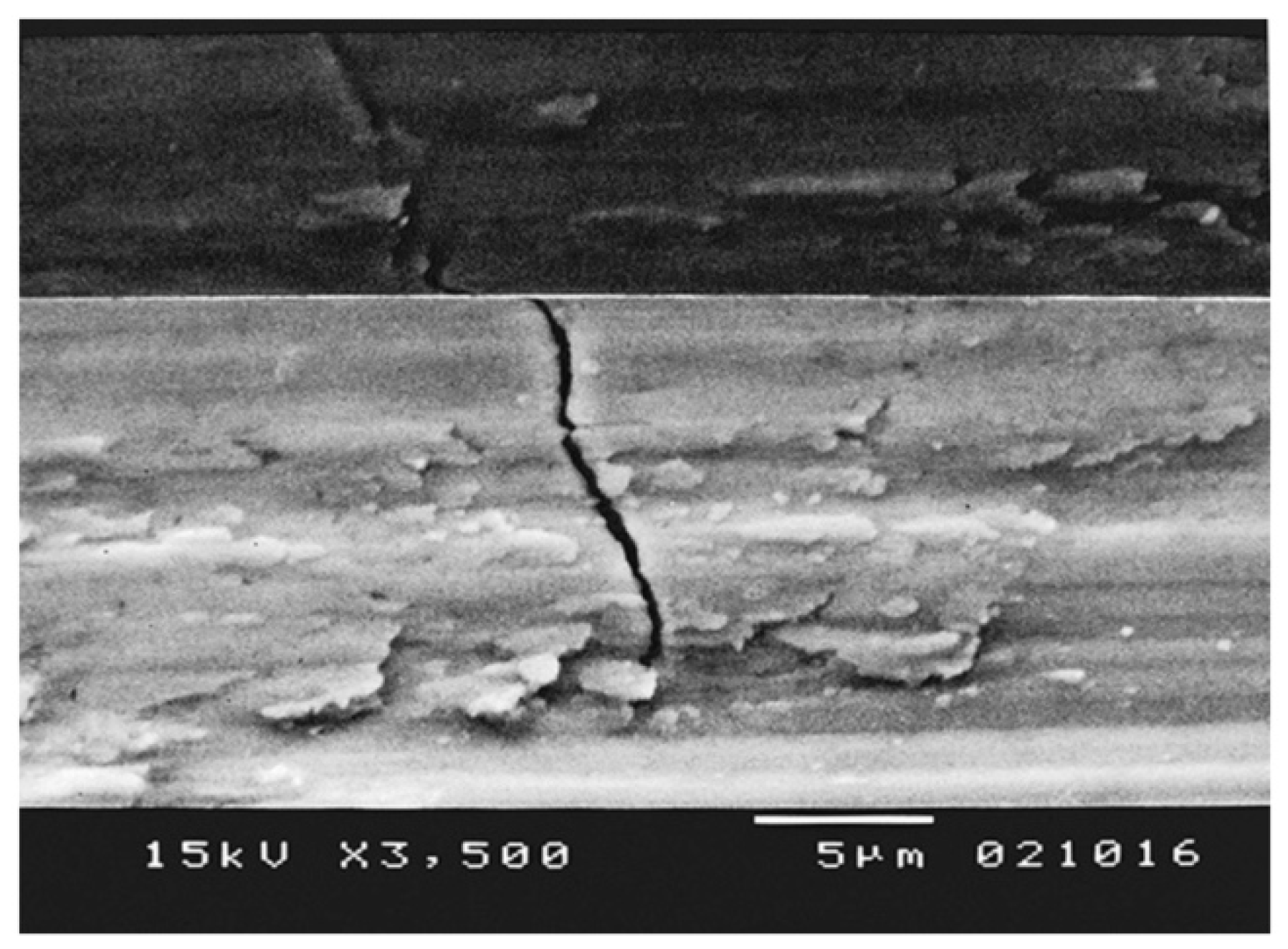 Processes 12 01283 g007 Processes 12 01283 g007