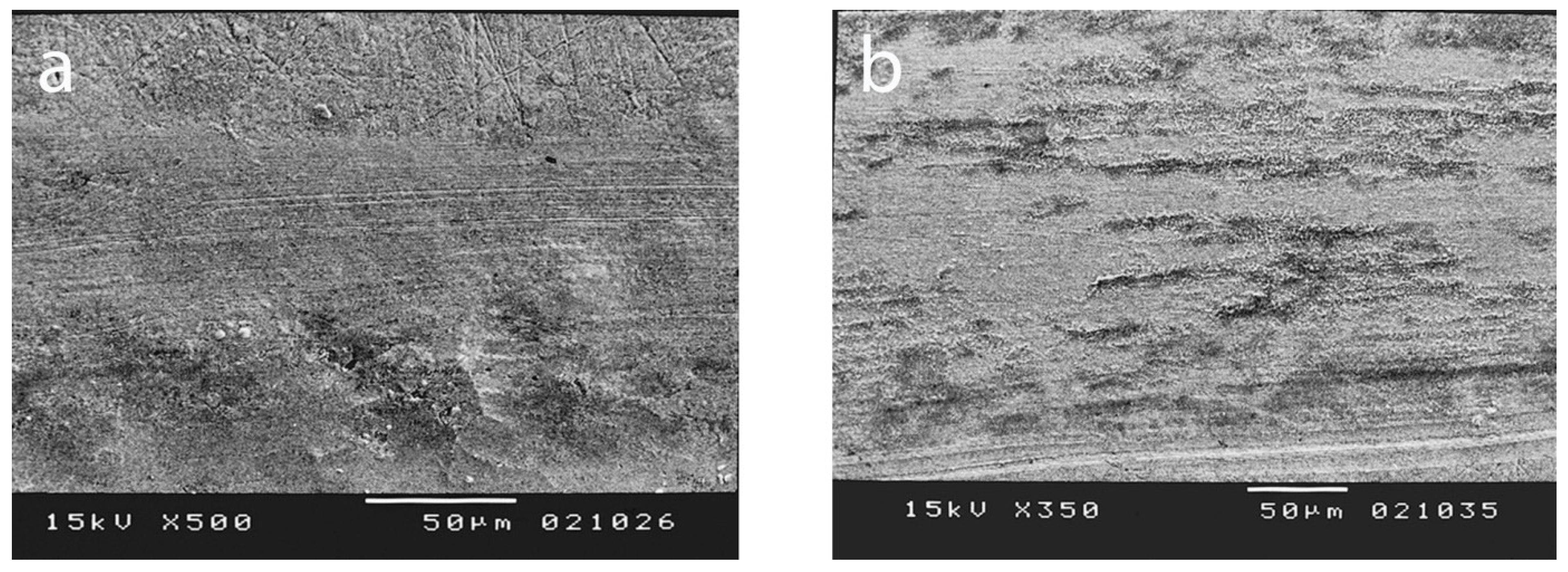 Processes 12 01283 g009 Processes 12 01283 g009