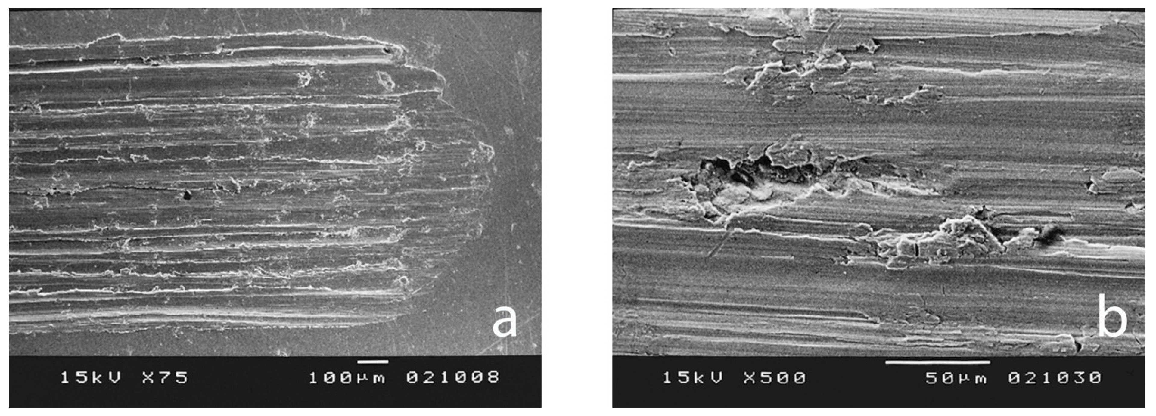 Processes 12 01283 g010 Processes 12 01283 g010