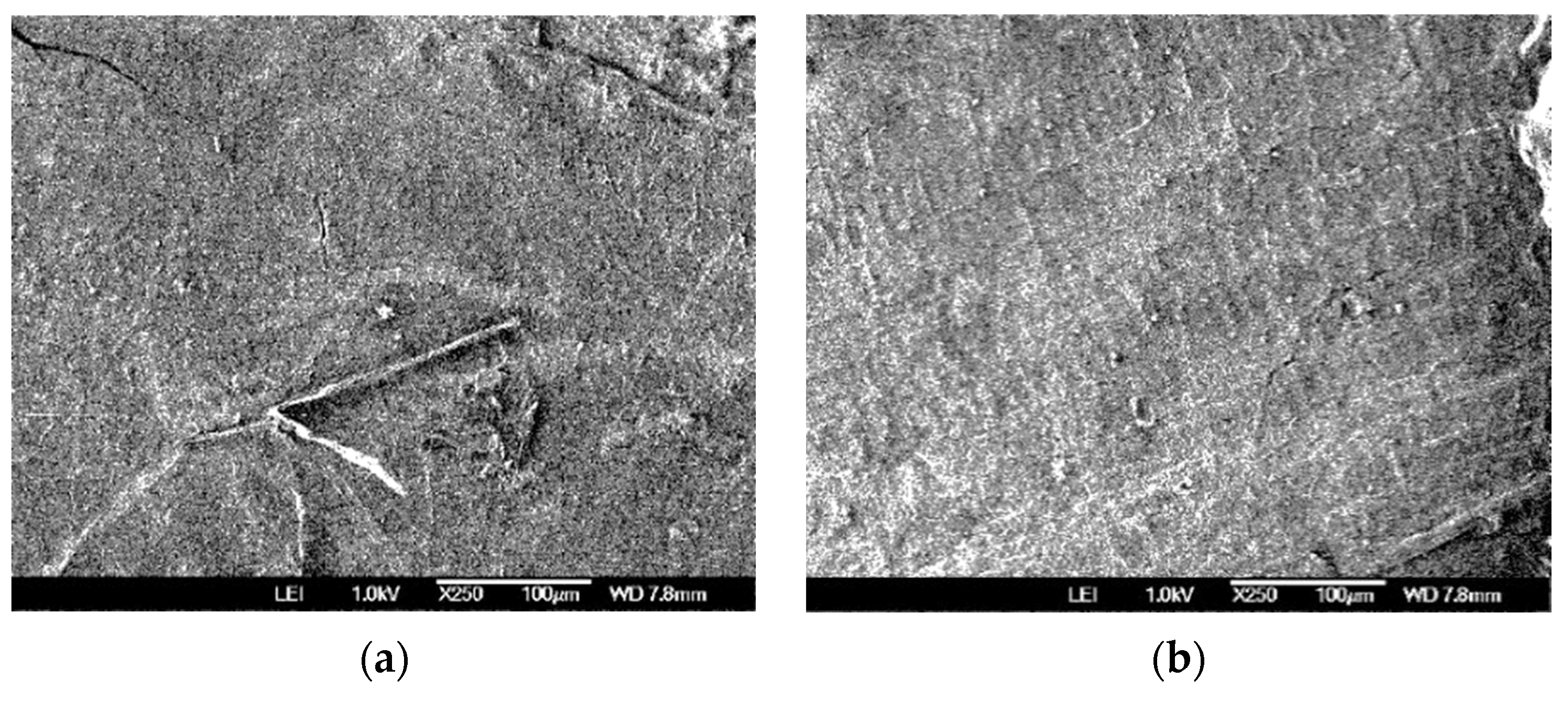 Processes 12 01299 g003 Processes 12 01299 g003