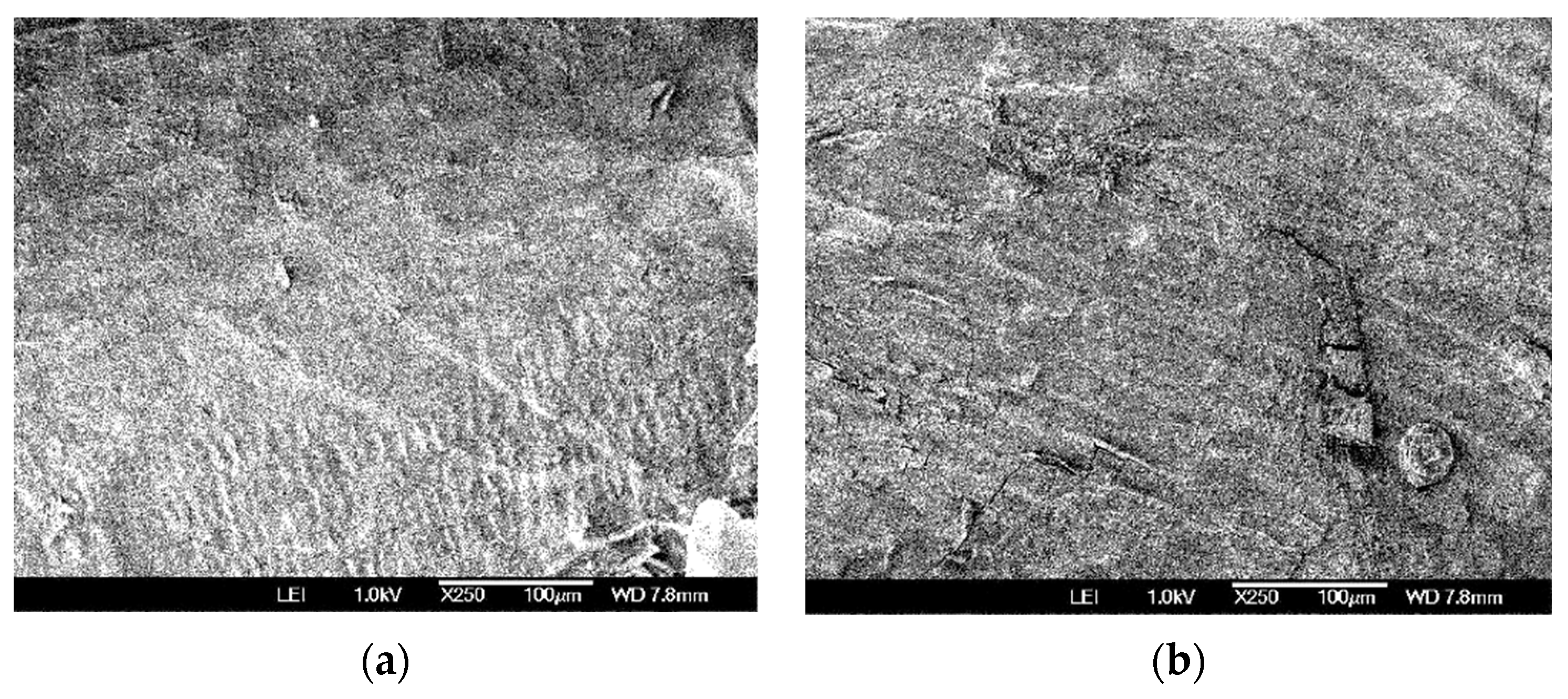 Processes 12 01299 g005 Processes 12 01299 g005