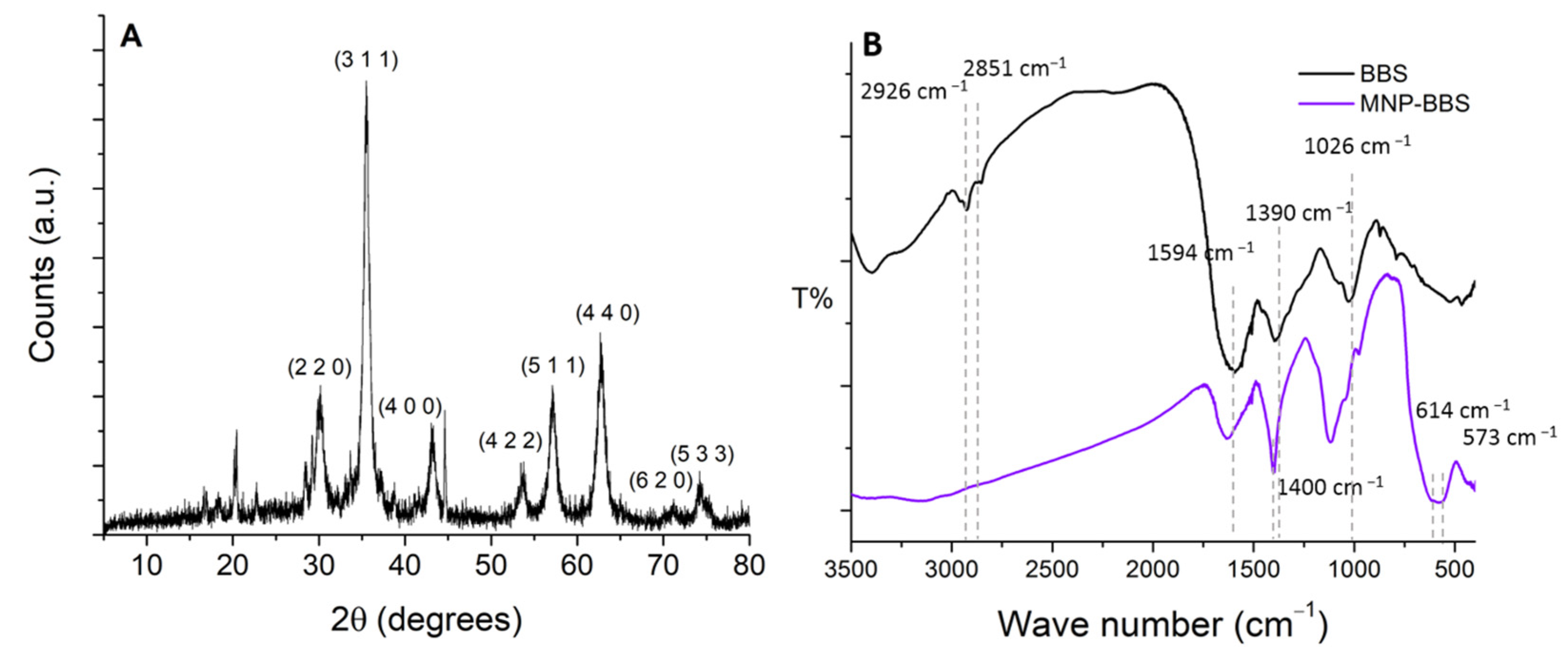 Processes 12 01339 g002
