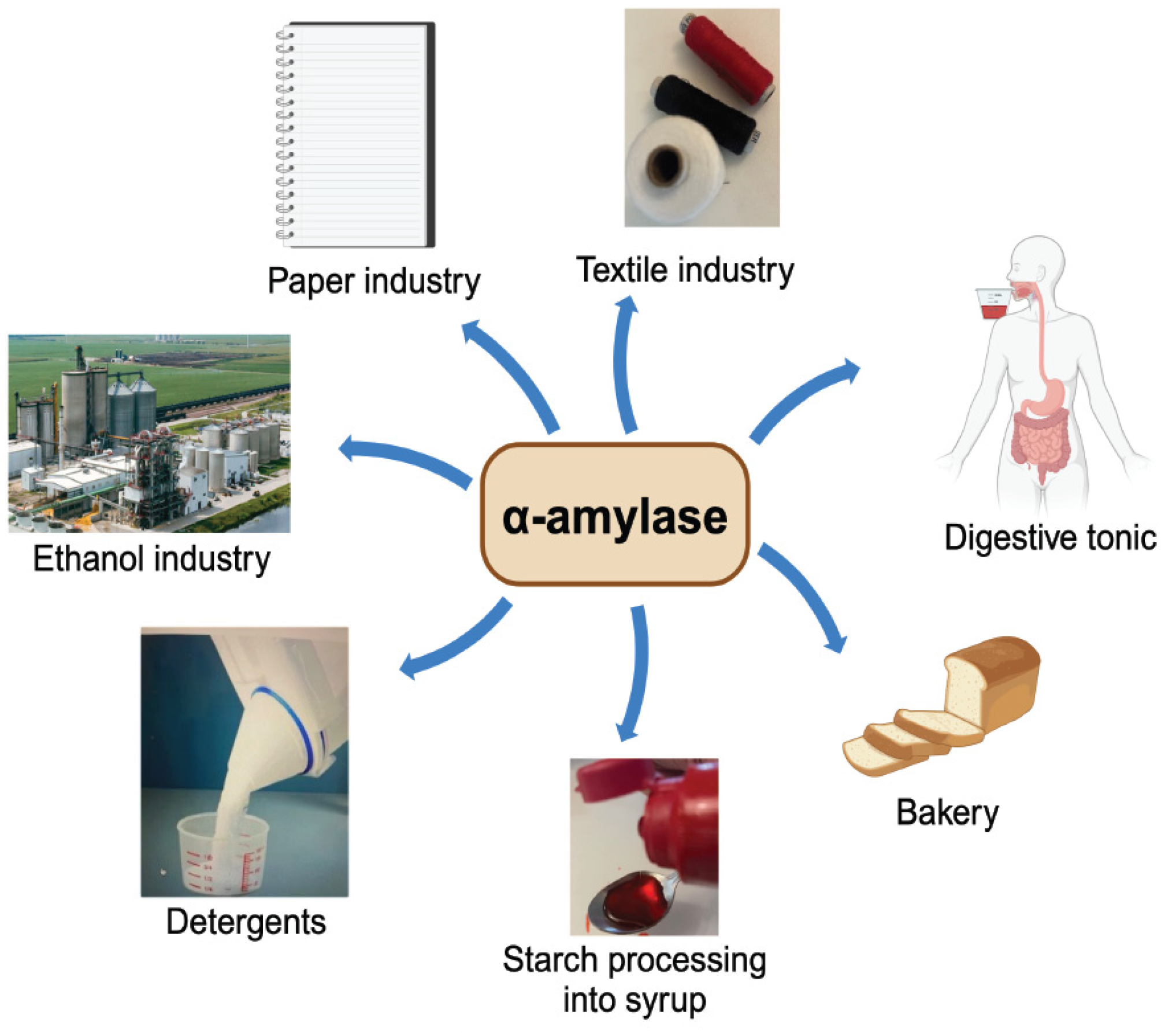 Processes 12 01341 g001 Processes 12 01341 g001