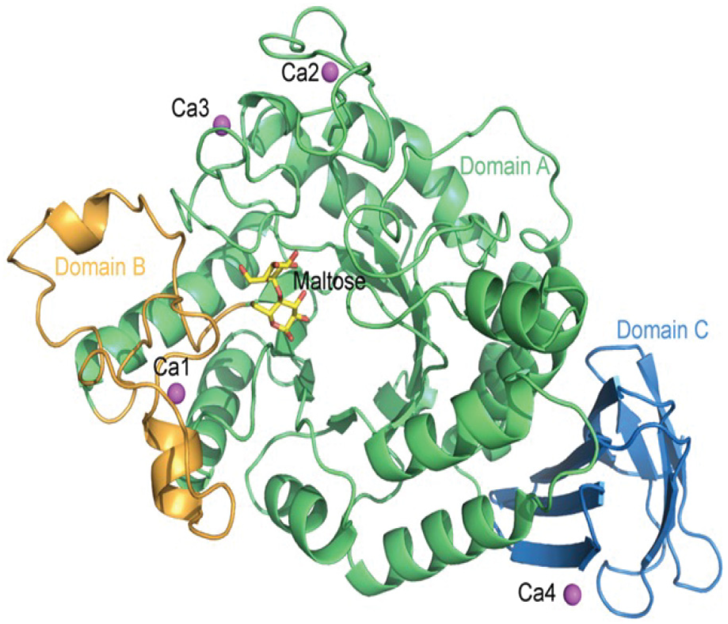 Processes 12 01341 g002 Processes 12 01341 g002