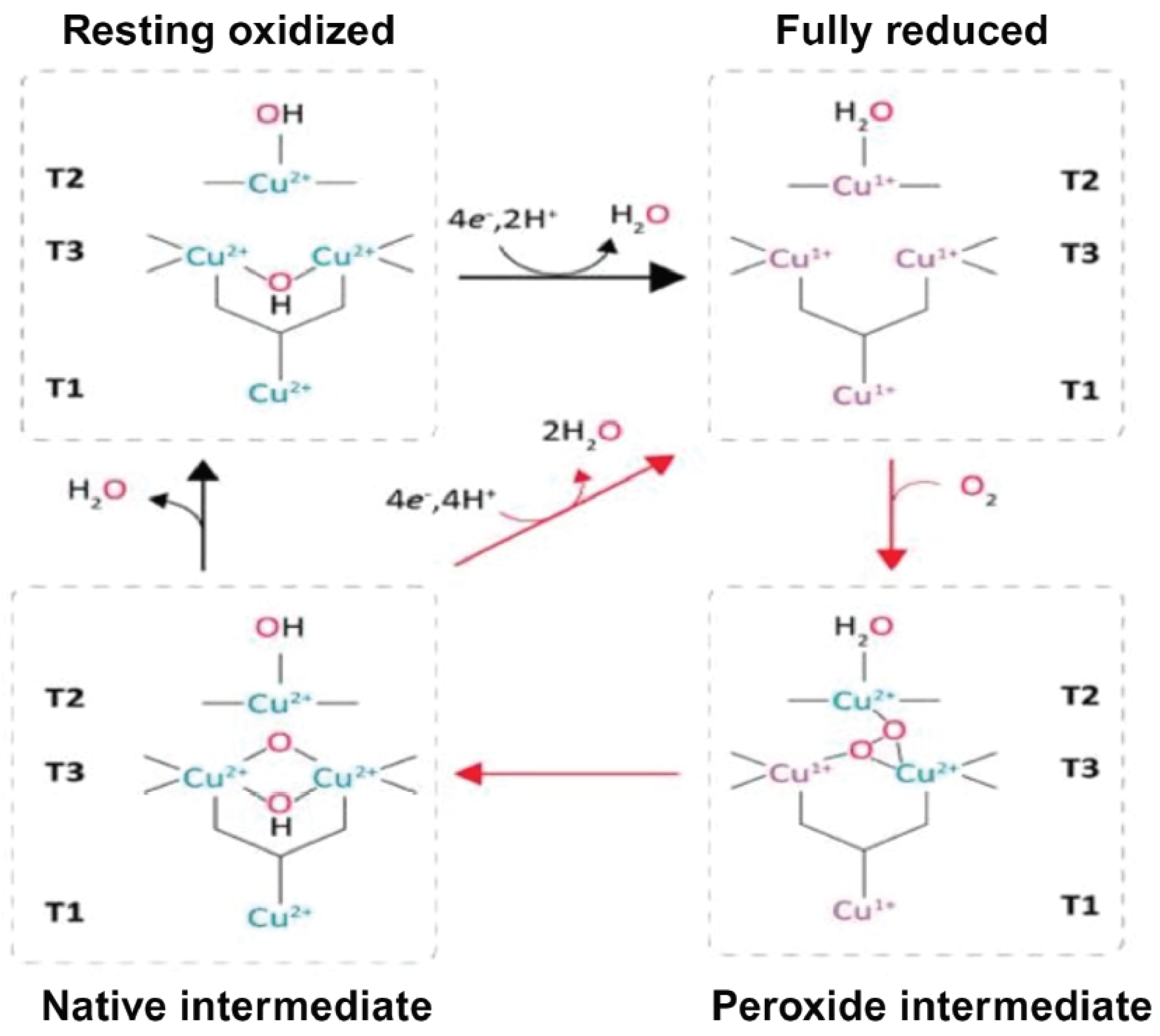 Processes 12 01341 g006 Processes 12 01341 g006