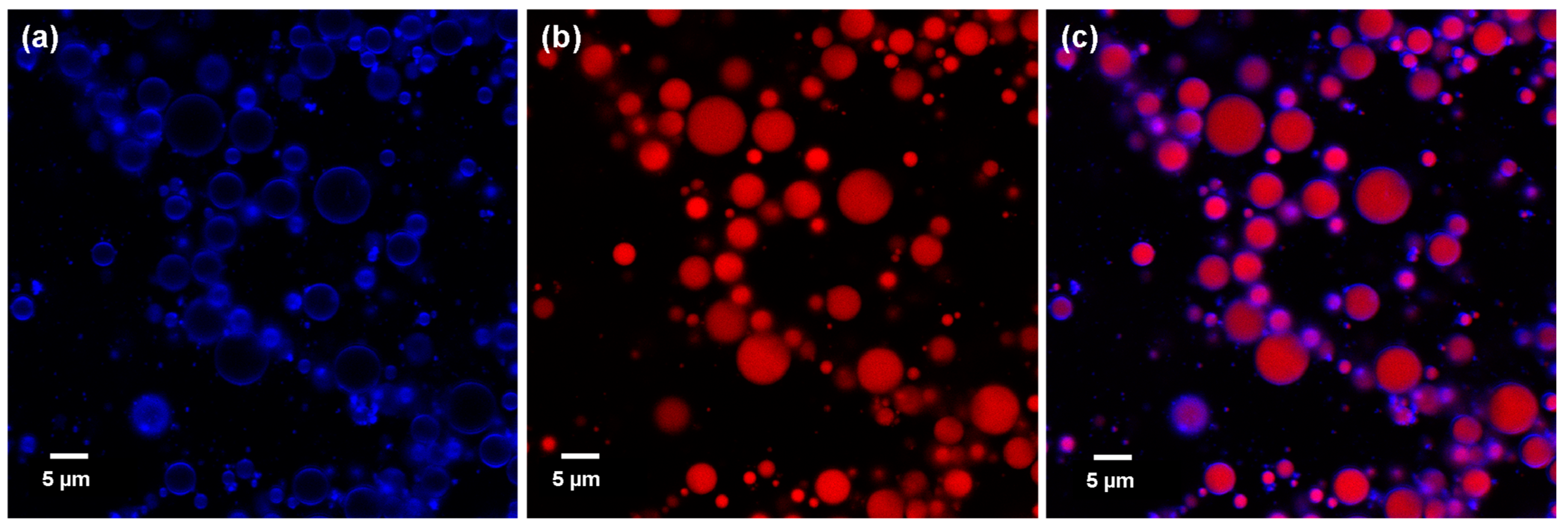 Processes 12 01348 g003
