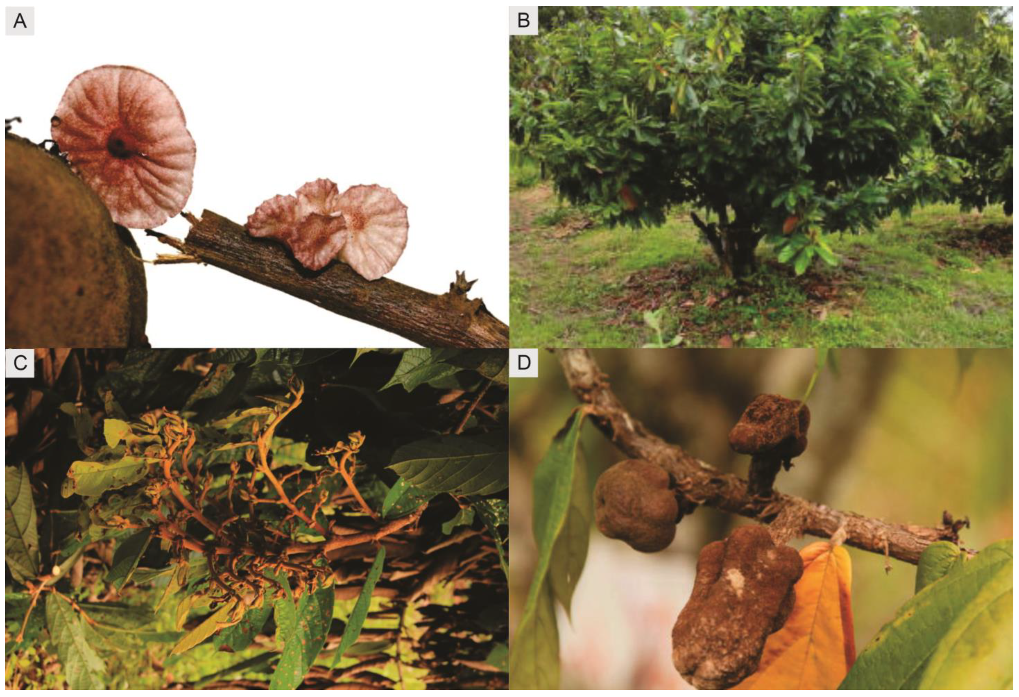 Processes 12 01353 g004