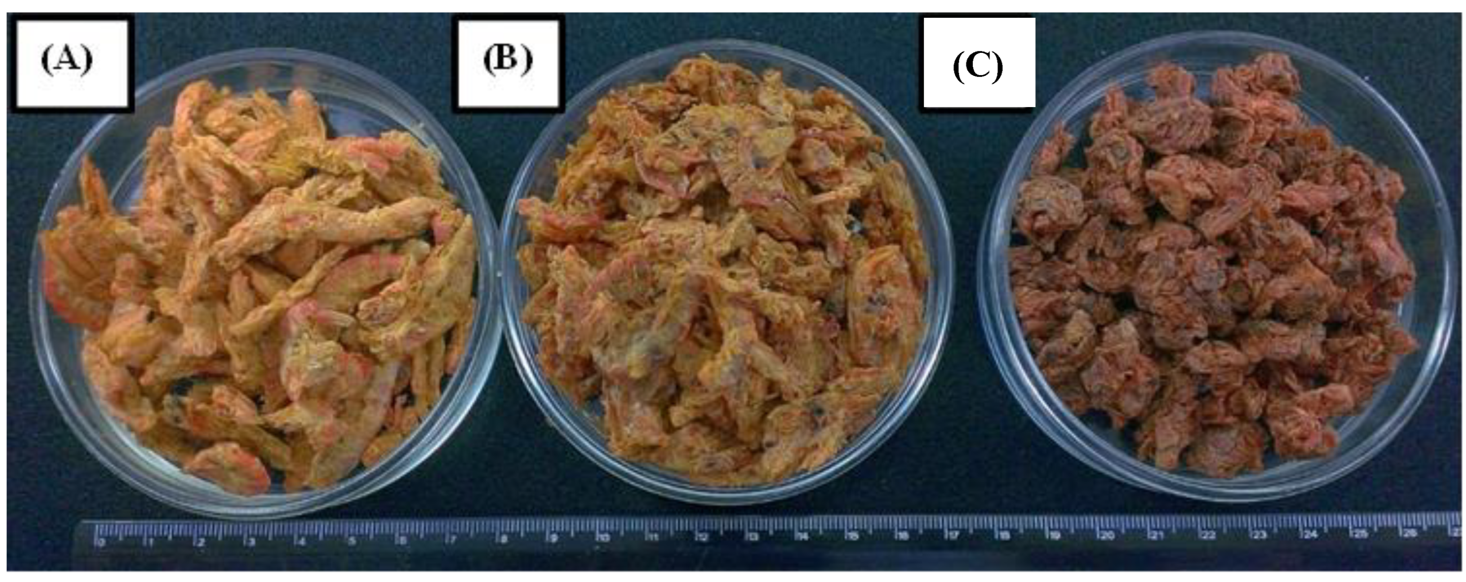 Processes 12 01366 g009