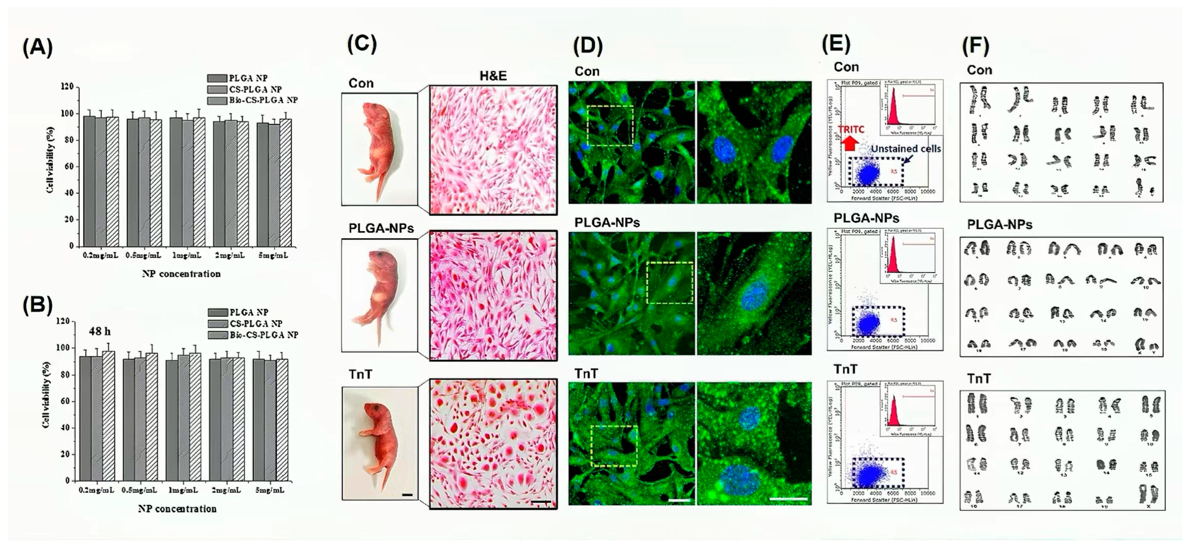 Processes 12 01372 g004