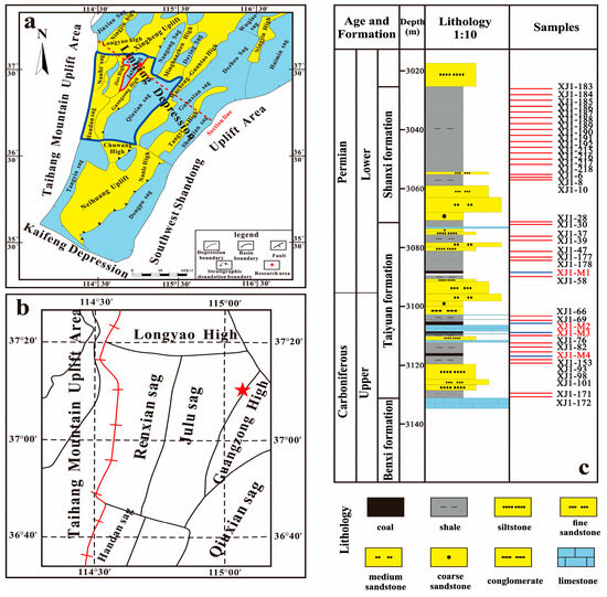 Geochemical Characteristics and Hydrocarbon Generation