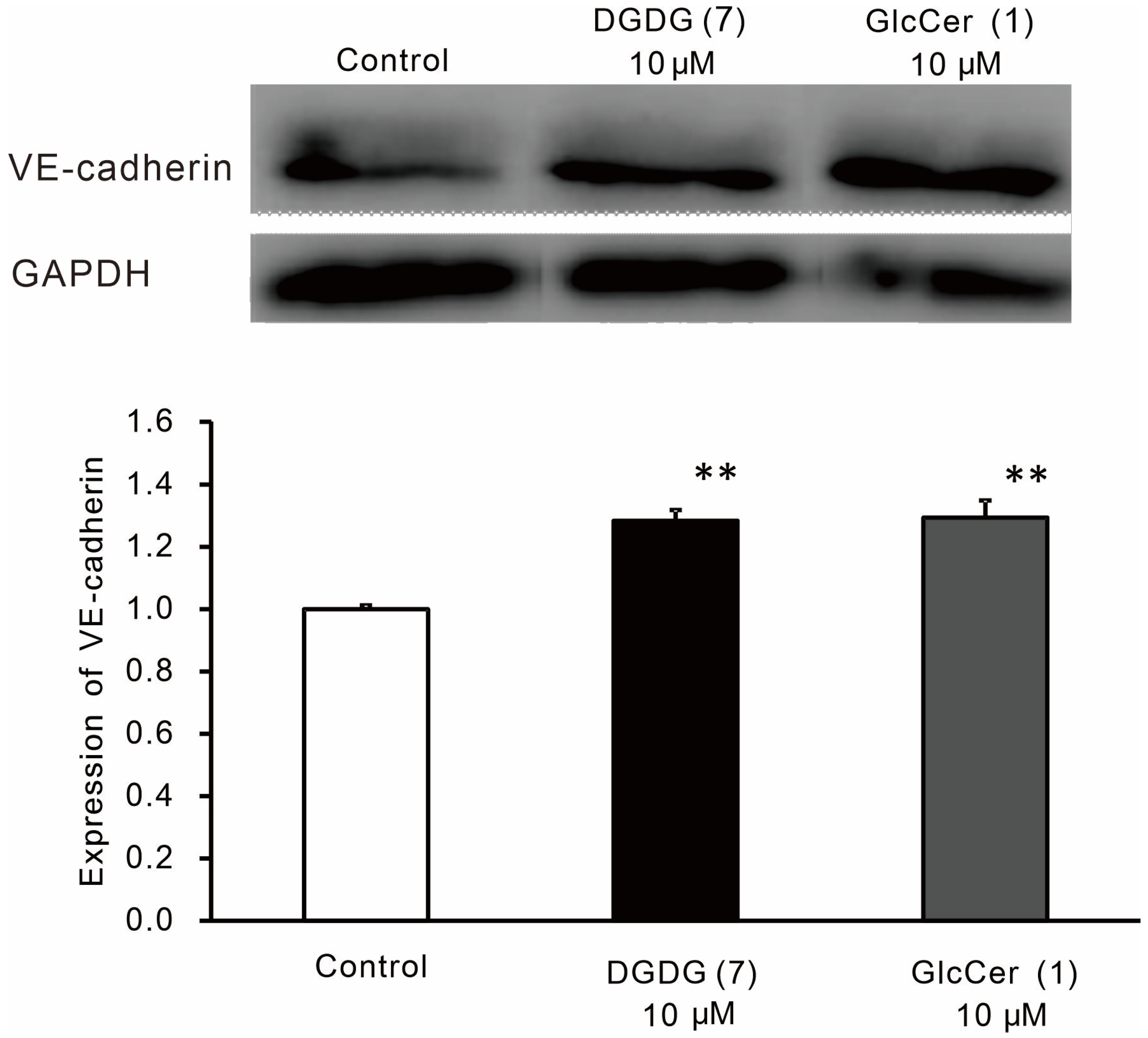 Processes 12 01421 g003