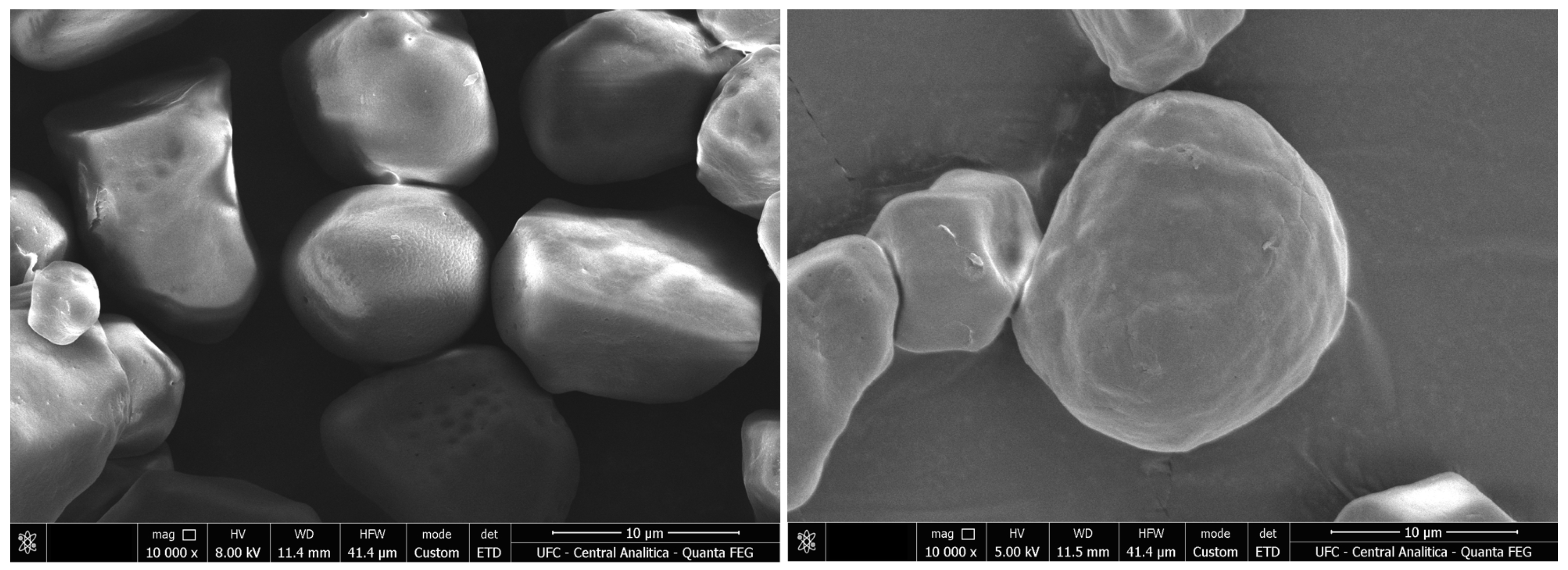 Processes 12 01429 g001