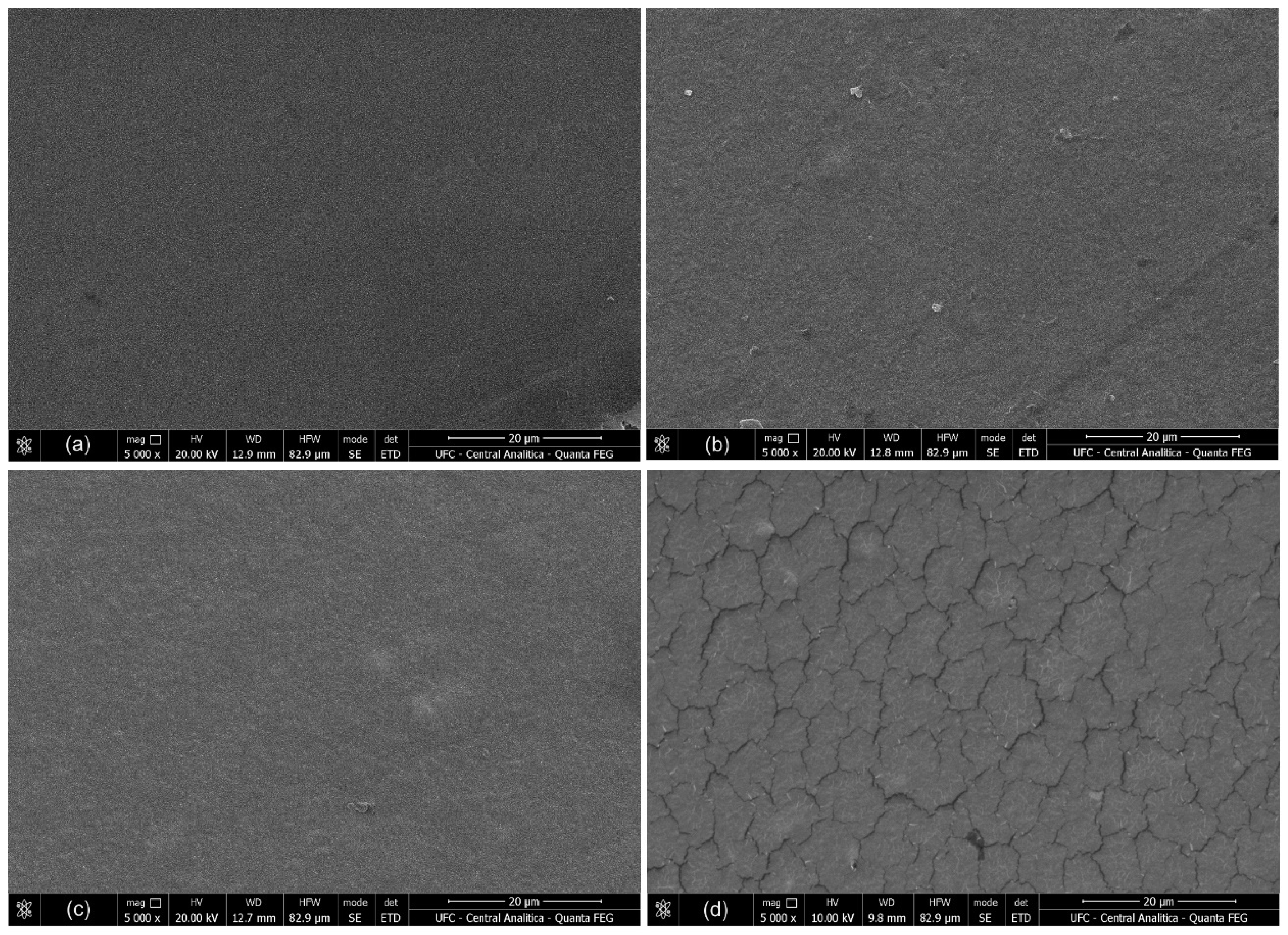 Processes 12 01429 g003
