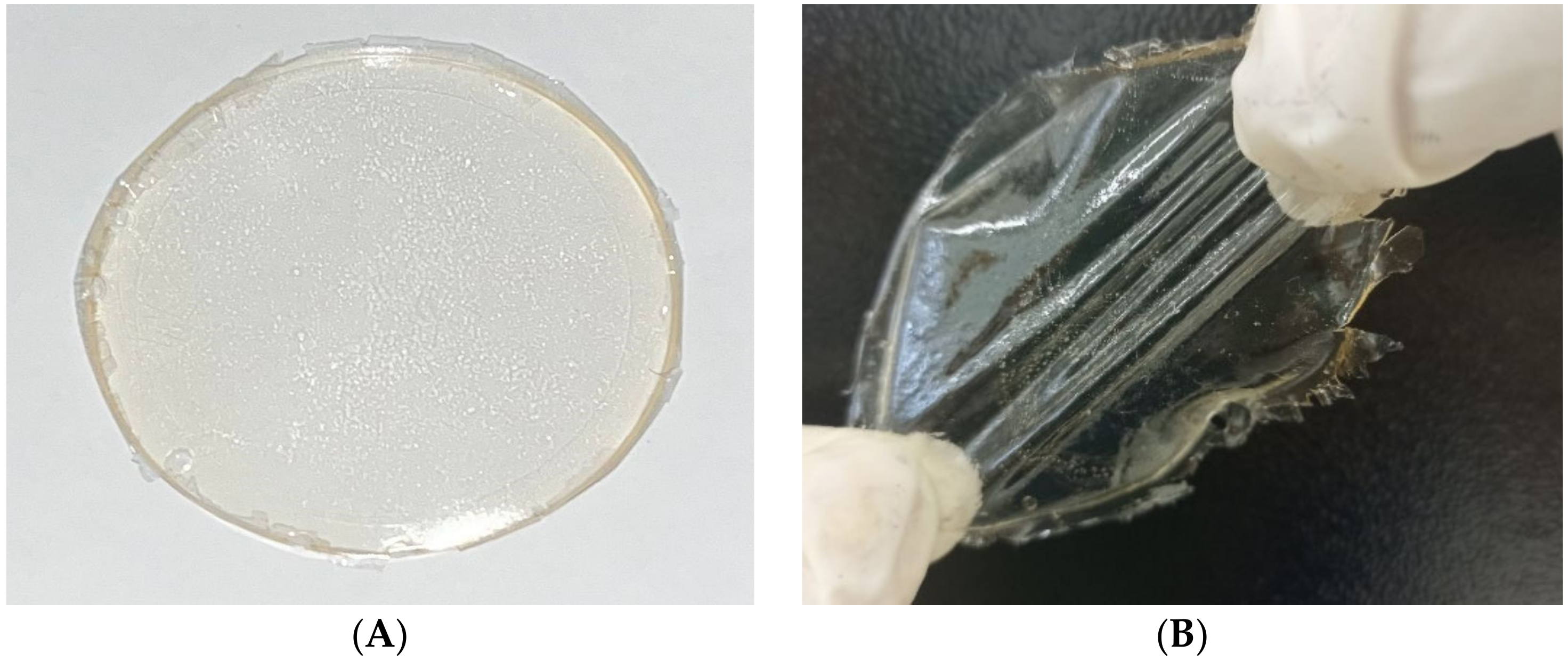 Processes 12 01437 g001