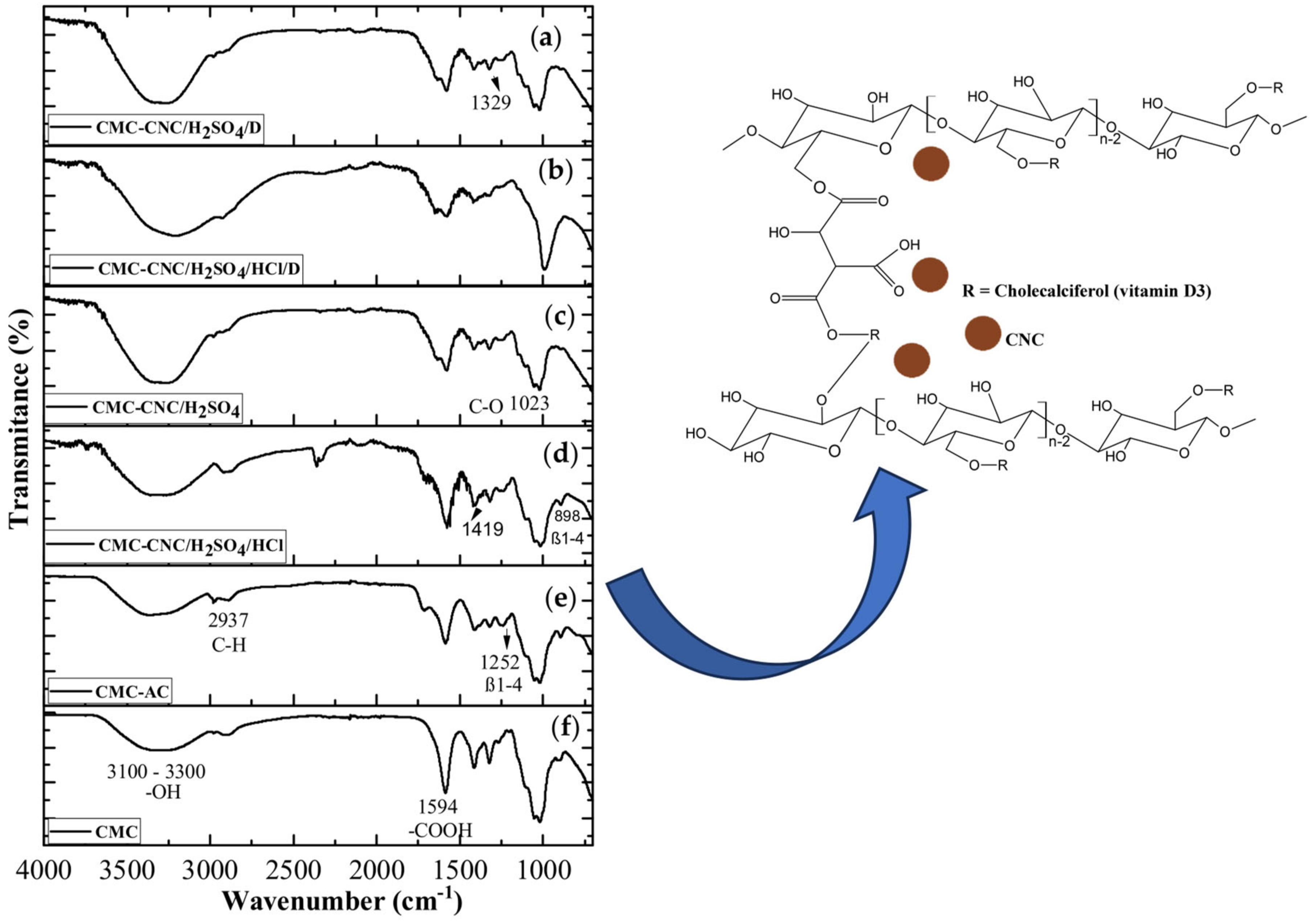 Processes 12 01437 g002