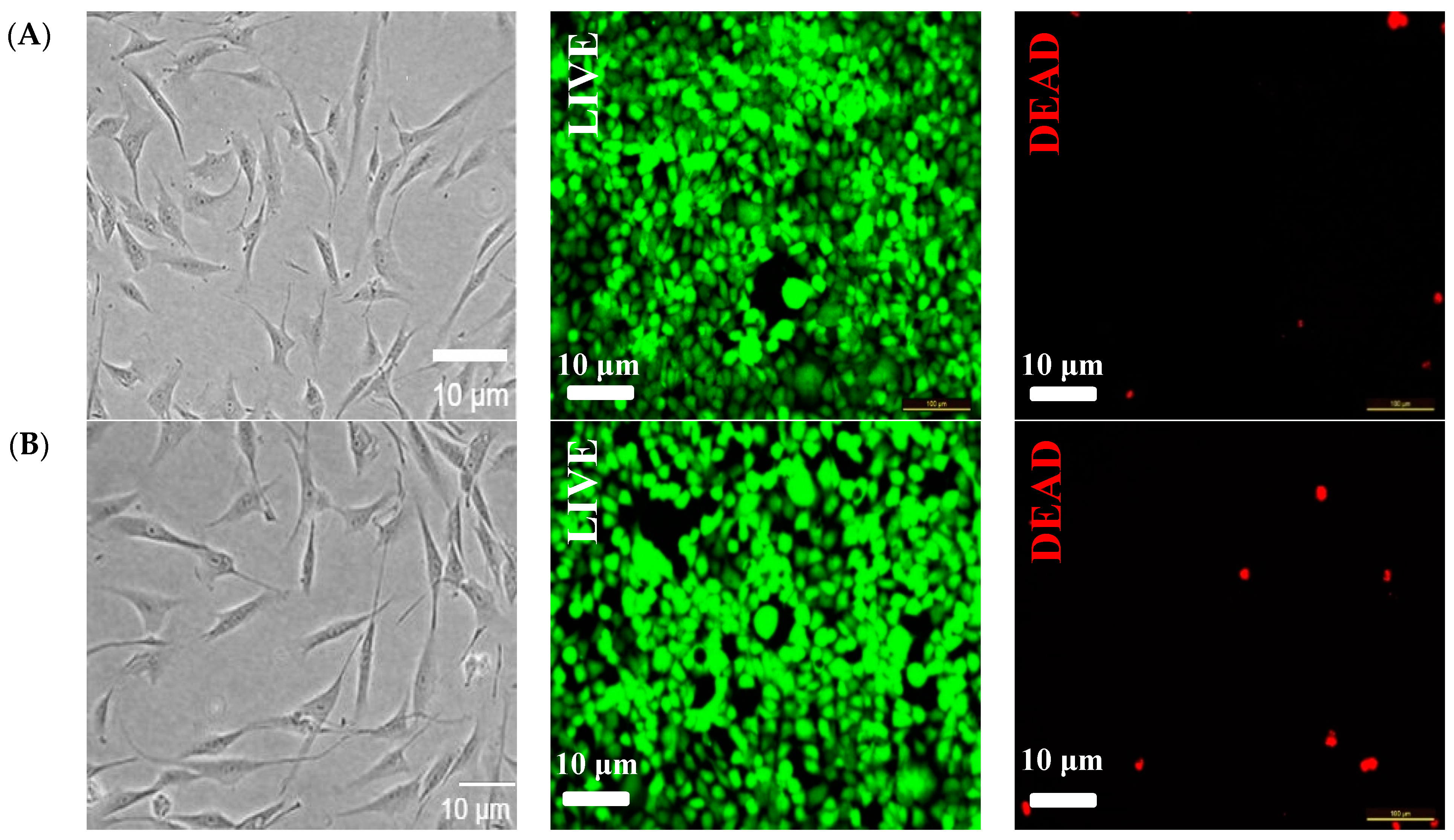 Processes 12 01437 g008a