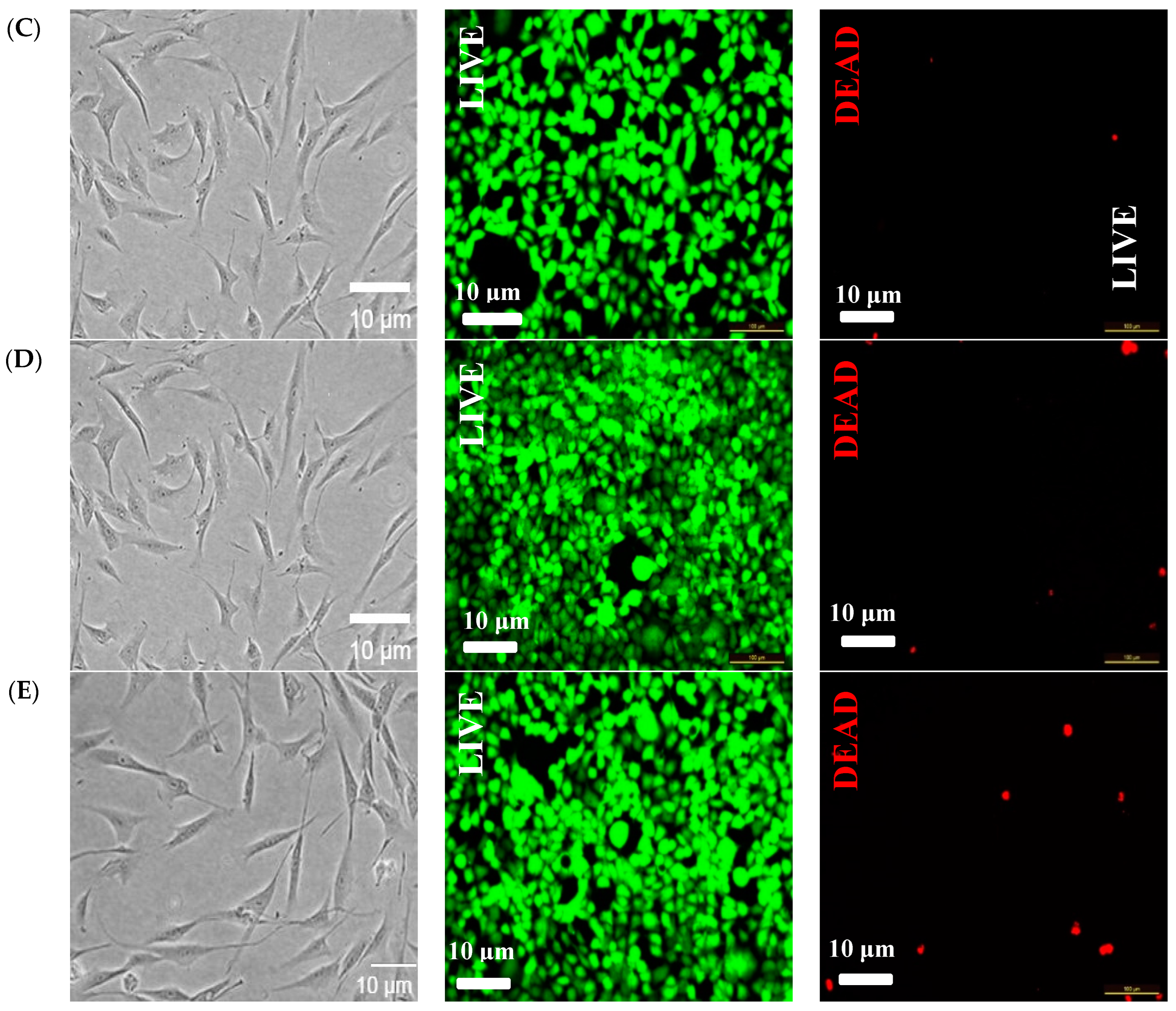 Processes 12 01437 g008b