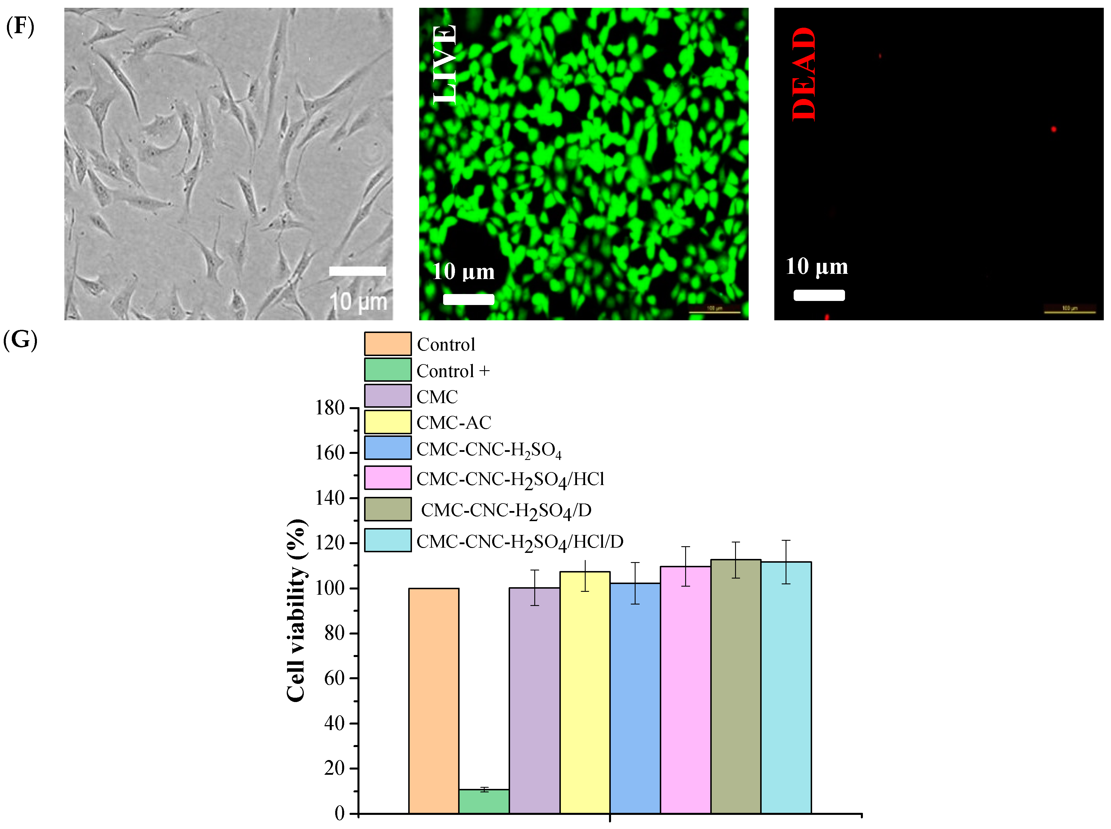 Processes 12 01437 g008c