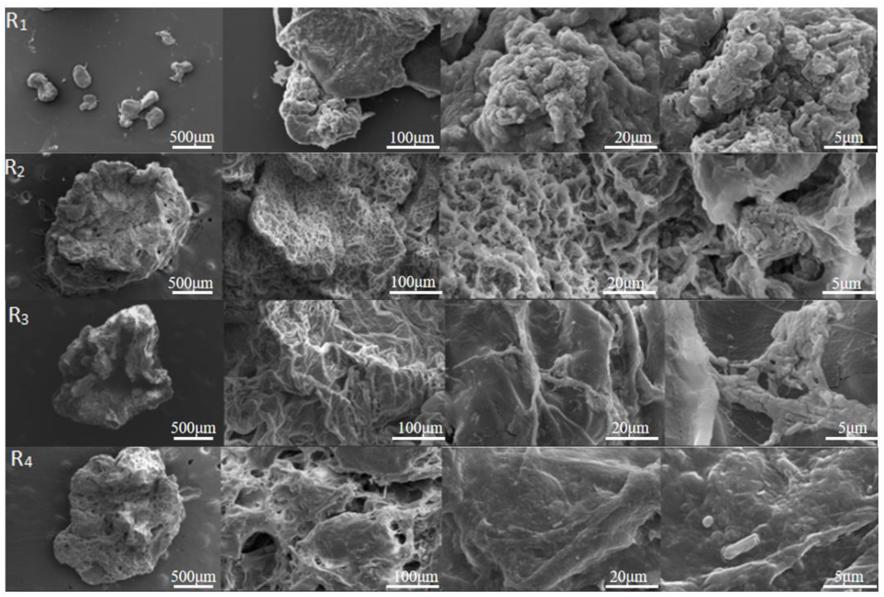 Processes 12 01442 g007